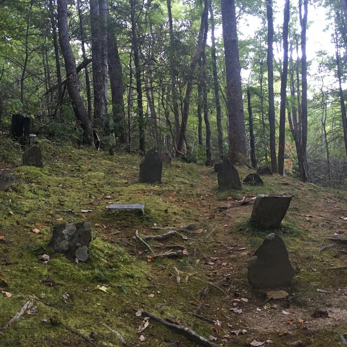 Baskin Creek Cemetery, TN