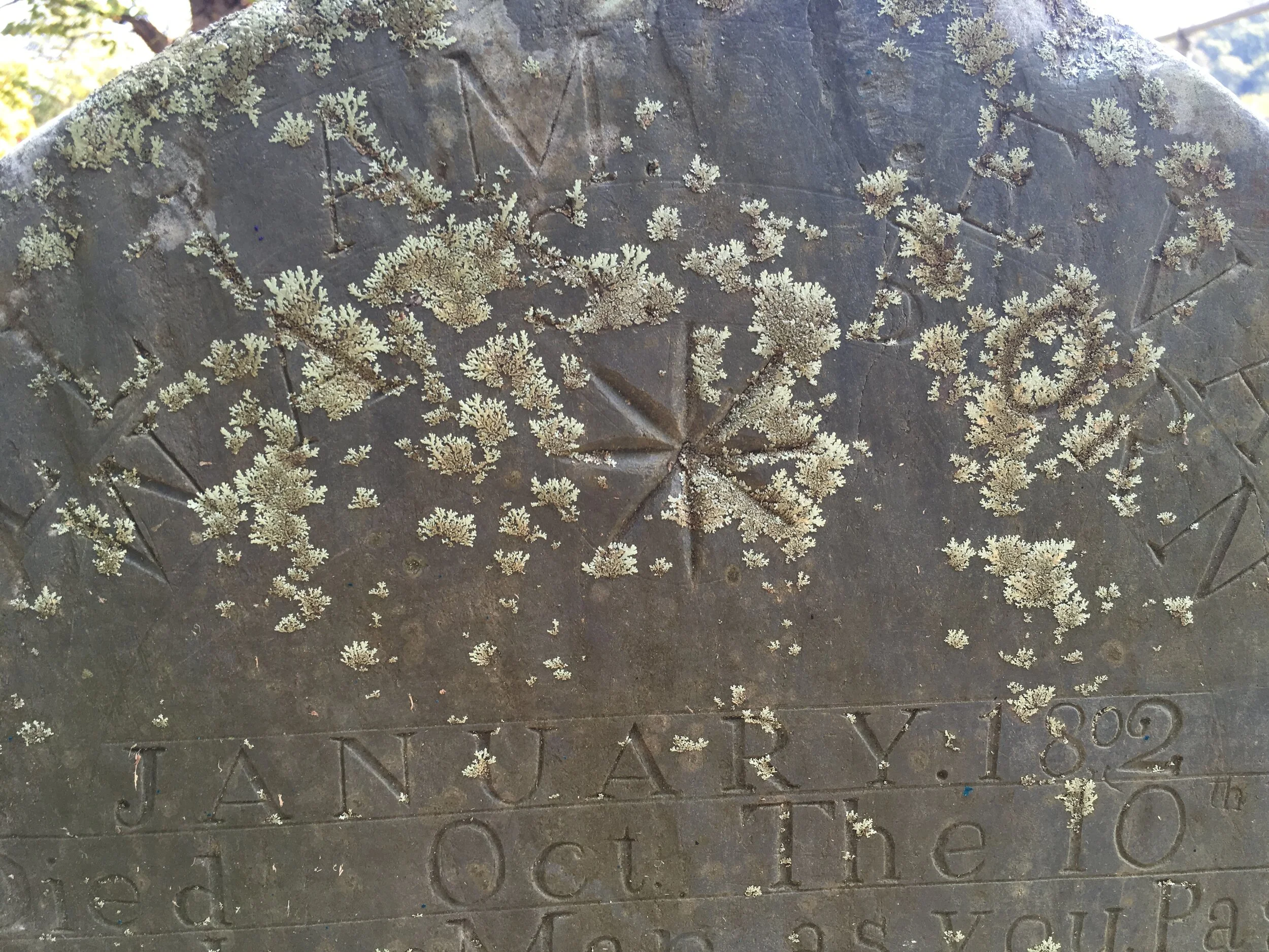 Emert Cemetery, Pittman Center TN