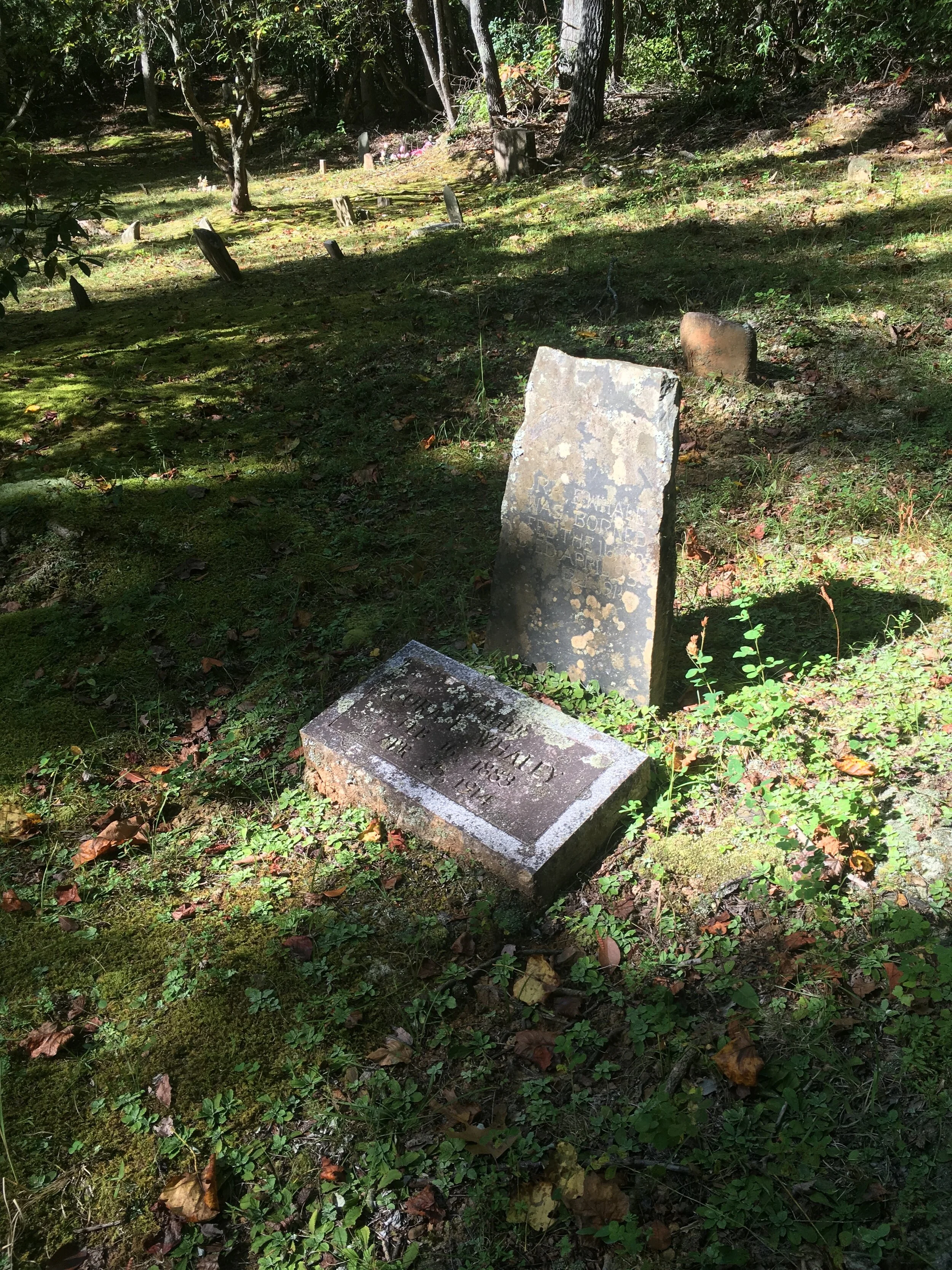 Whaley (Plemmons) Cemetery, Greenbrier TN
