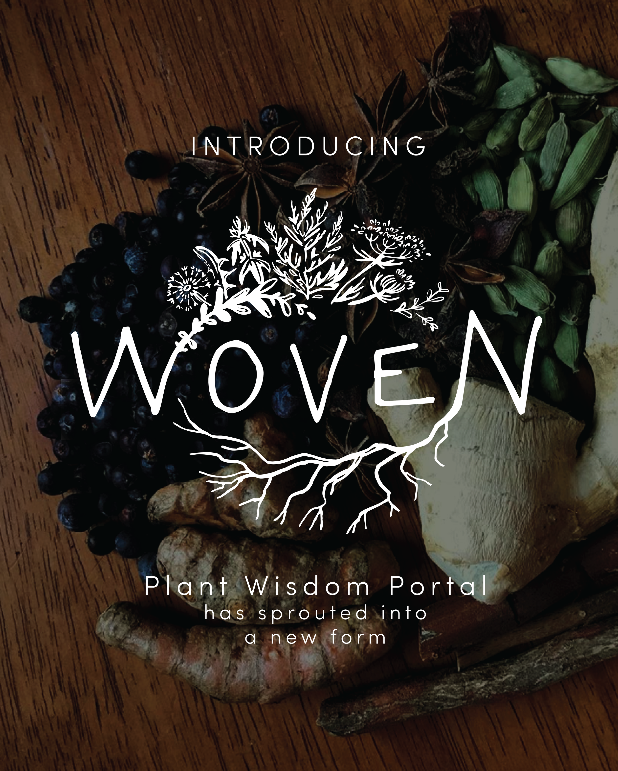  for  Woven Apothecary  