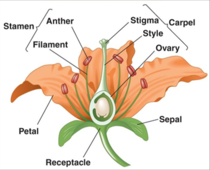 Screen Shot 2020-06-03 at 9.14.16 AM.png