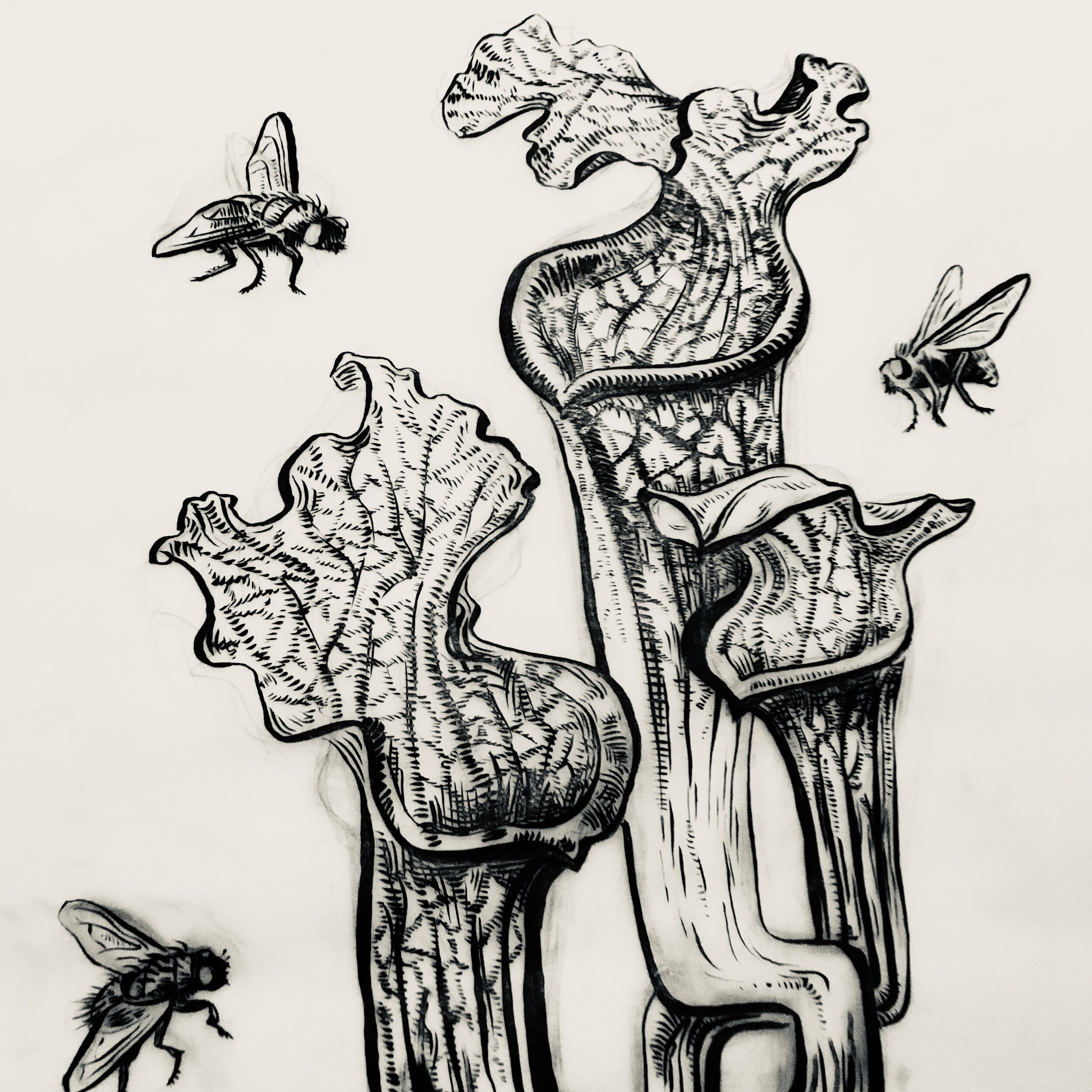 CARNIVOROUS Botanical Drawing — SOLSTICE HANDMADE