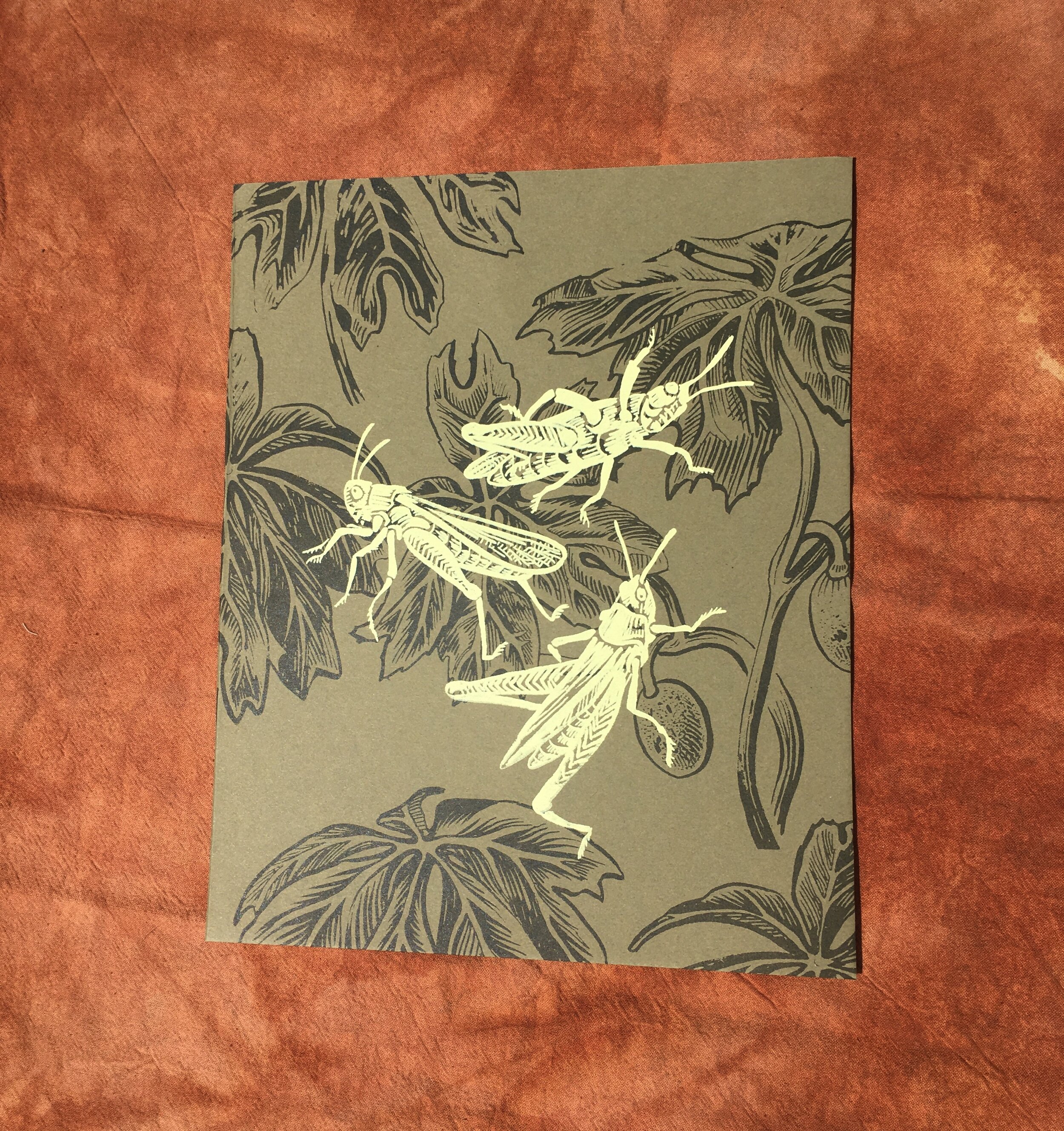 FullSizeRender 10.JPG