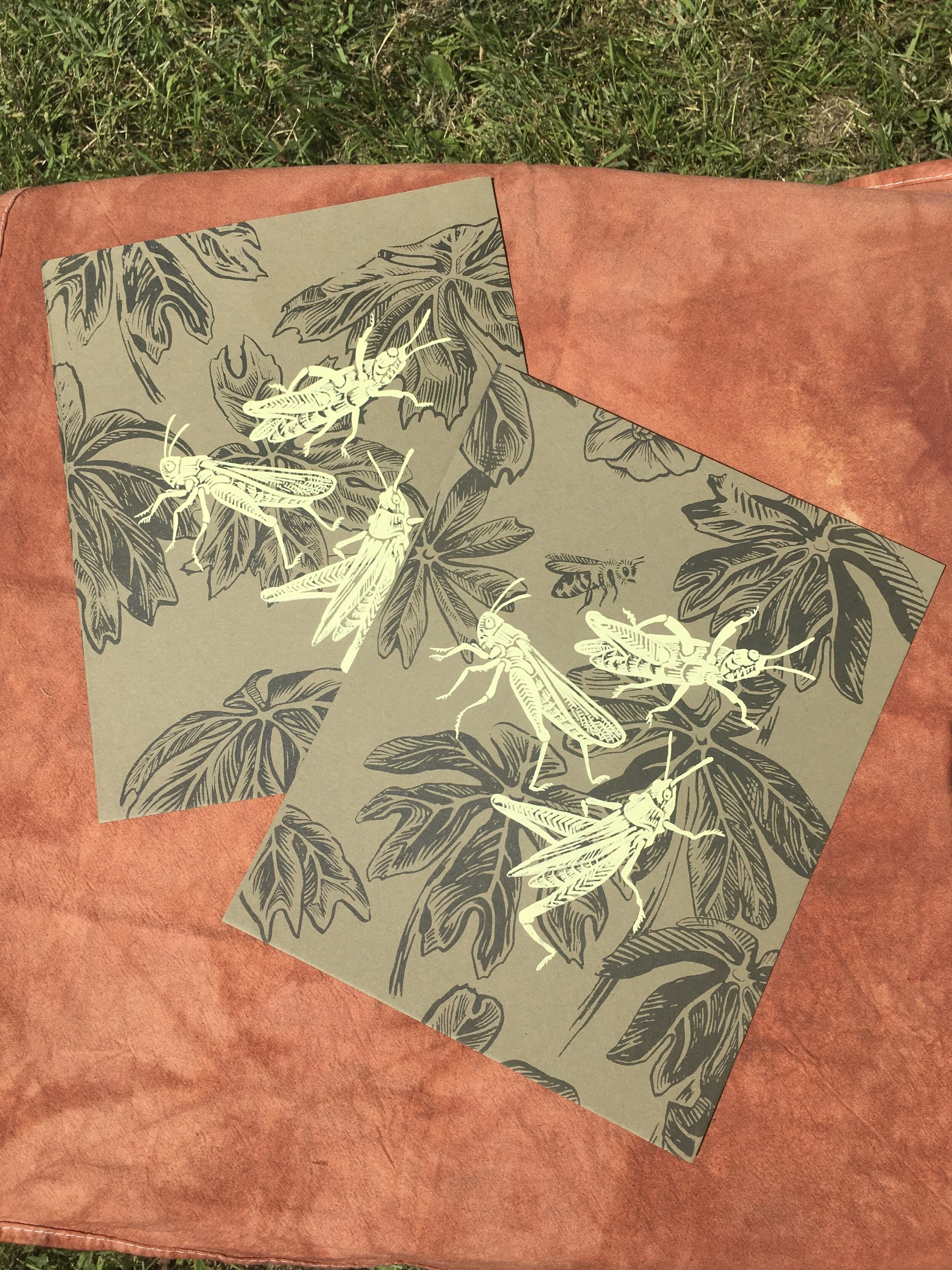 FullSizeRender 11.JPG