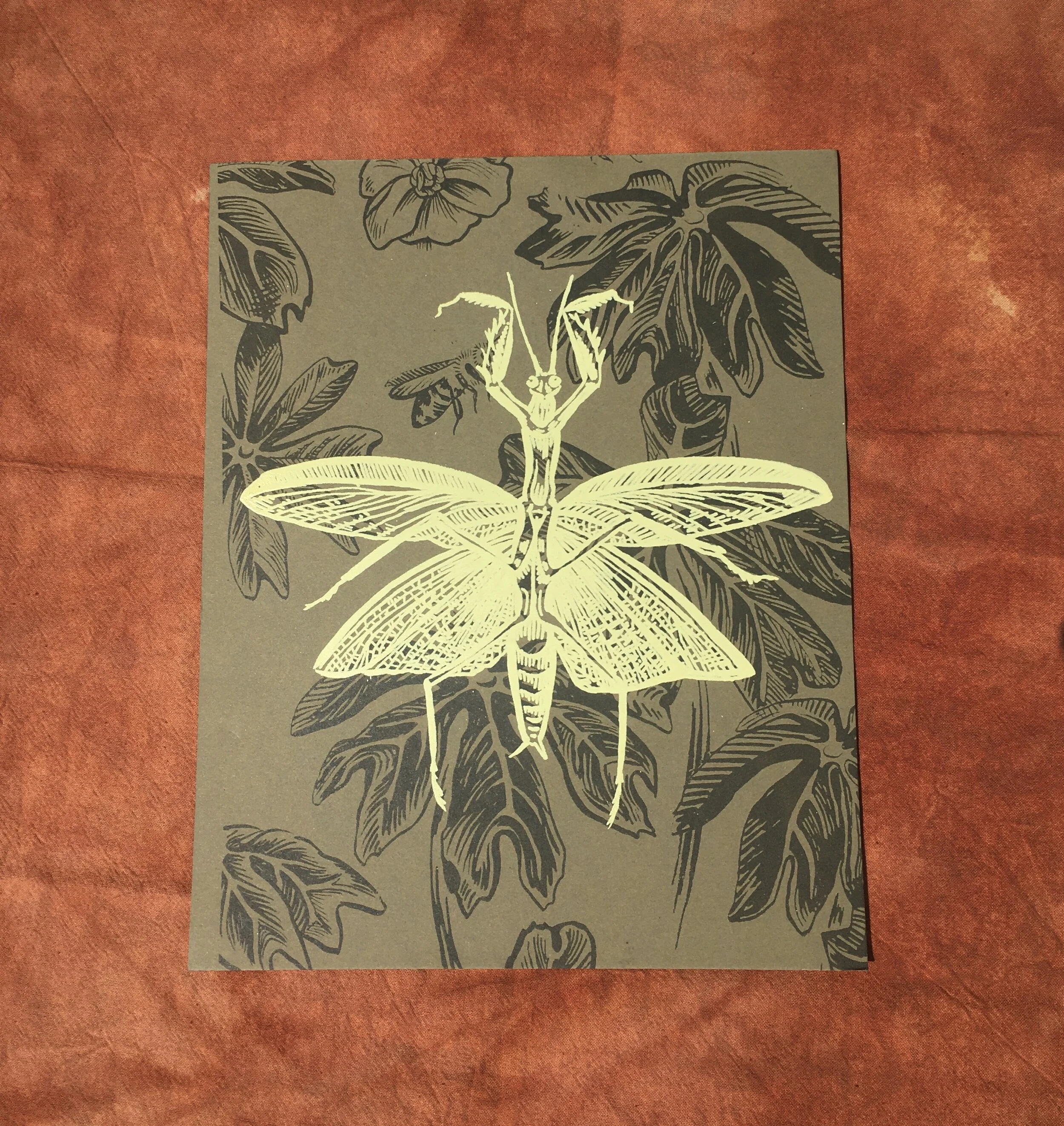 FullSizeRender 8.JPG