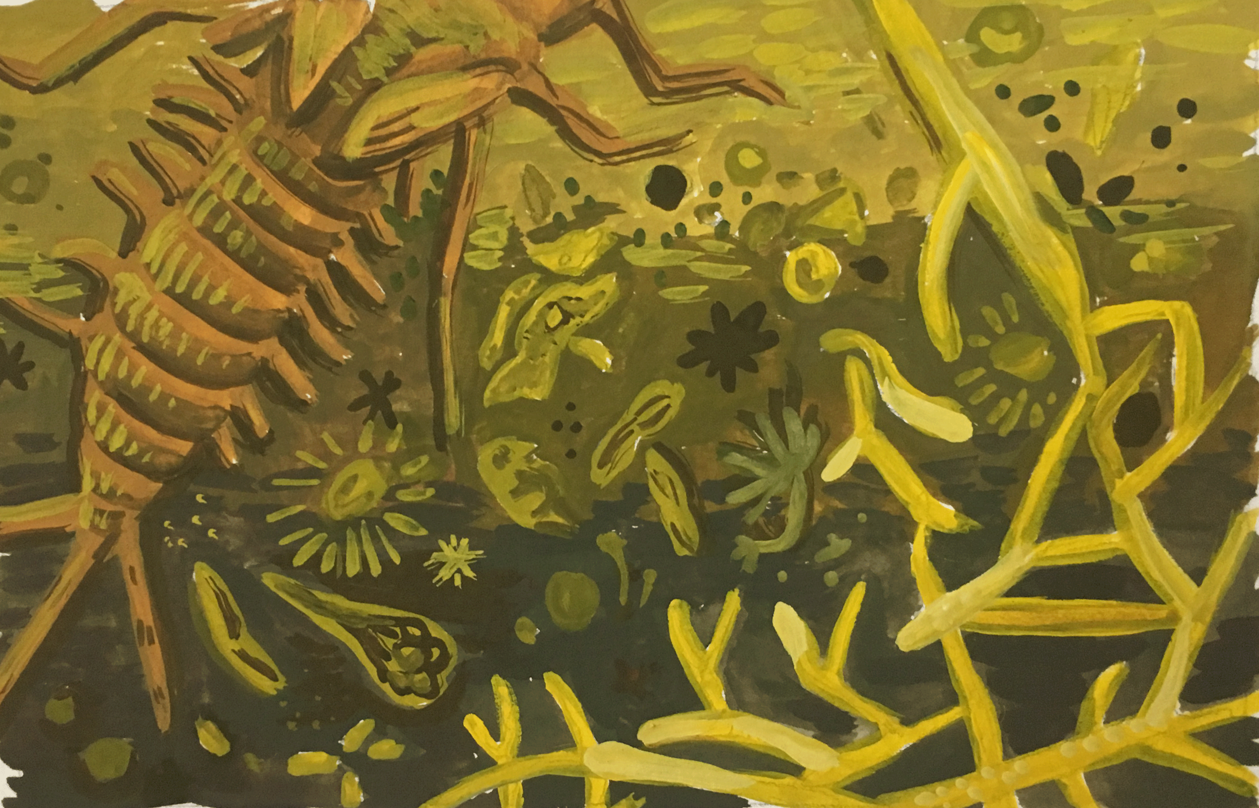 pondscum.png