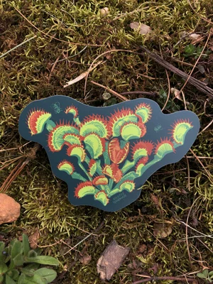 Venus Flytrap Sticker — SOLSTICE HANDMADE