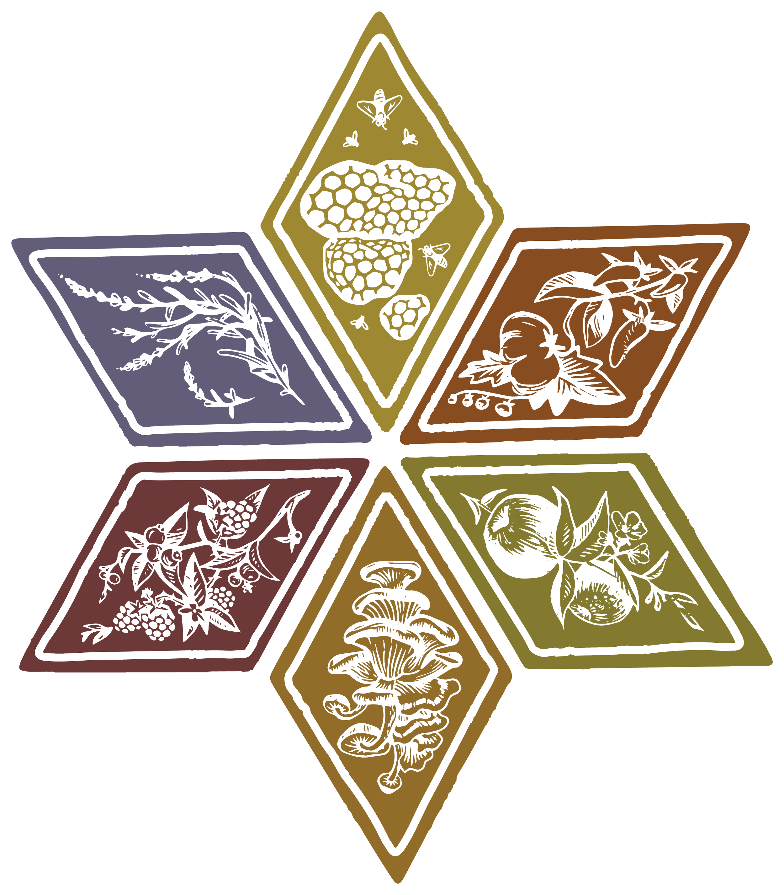 AA-_star-solid.png