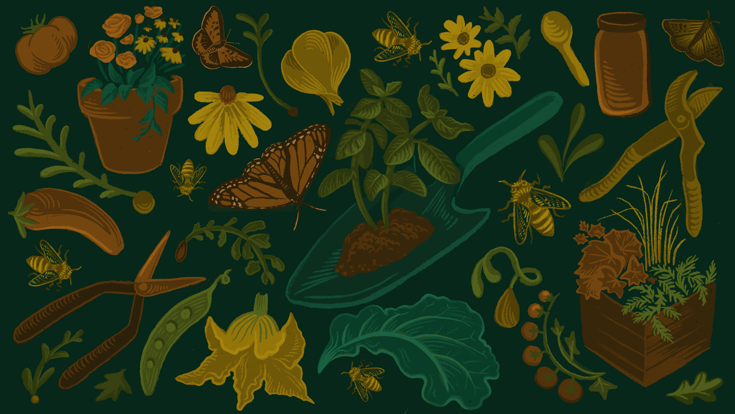 Homepage.Header.png