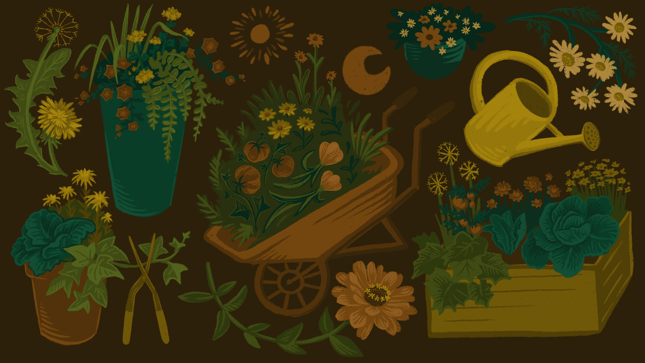 services header.png