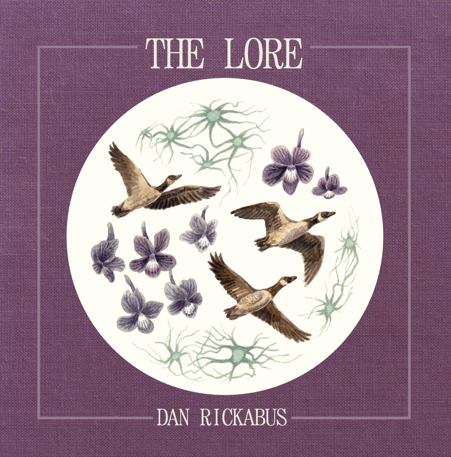 Ache cover-web_THE LORE.png
