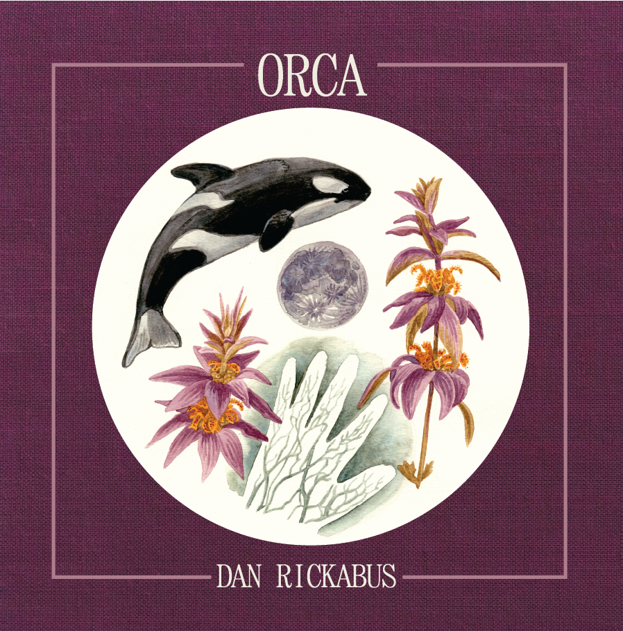 Ache cover-web_ORCA.png