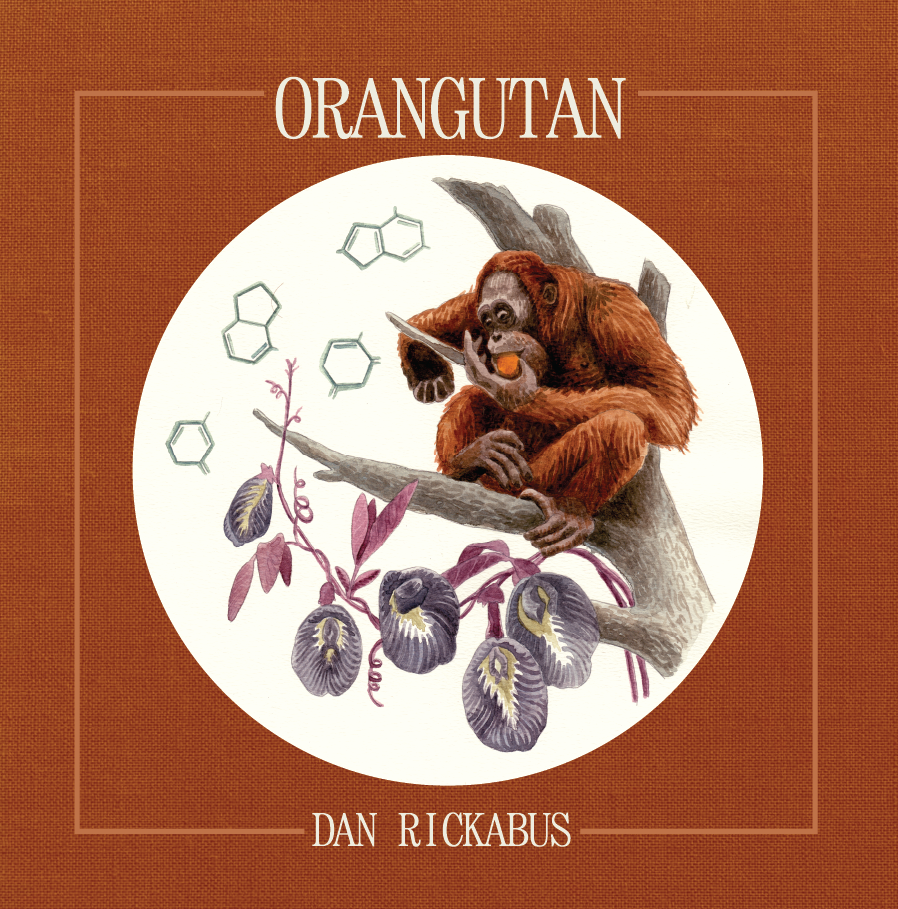 Ache cover-web_ORGANUTAN.png