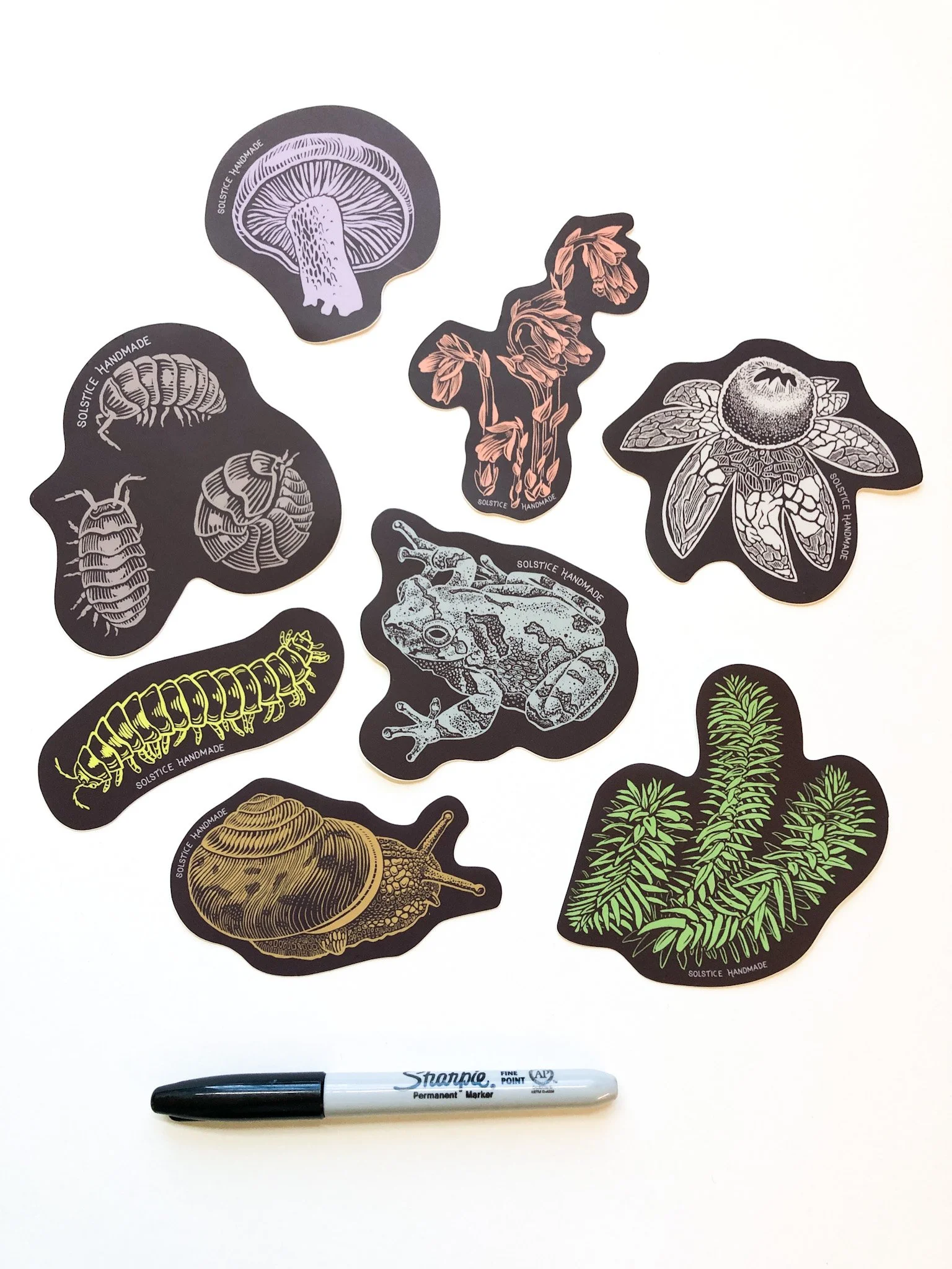 IMG_7806 2.JPG (Copy) (Copy) (Copy) (Copy) (Copy) (Copy)