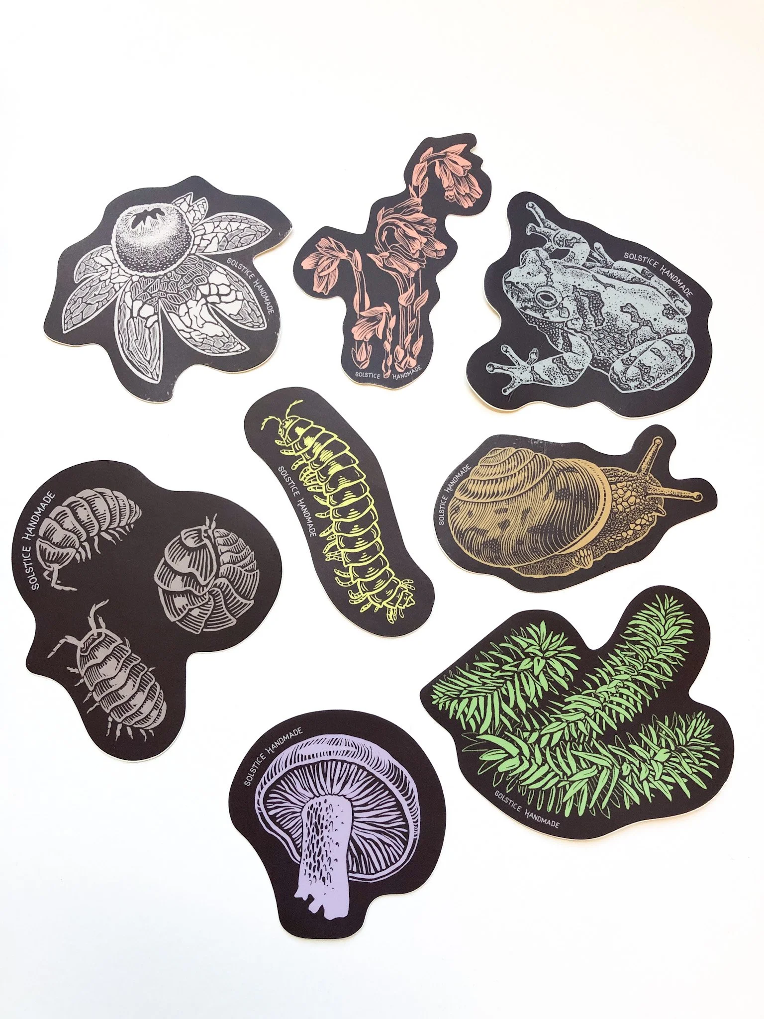 IMG_7796 2.JPG (Copy) (Copy) (Copy) (Copy) (Copy) (Copy)