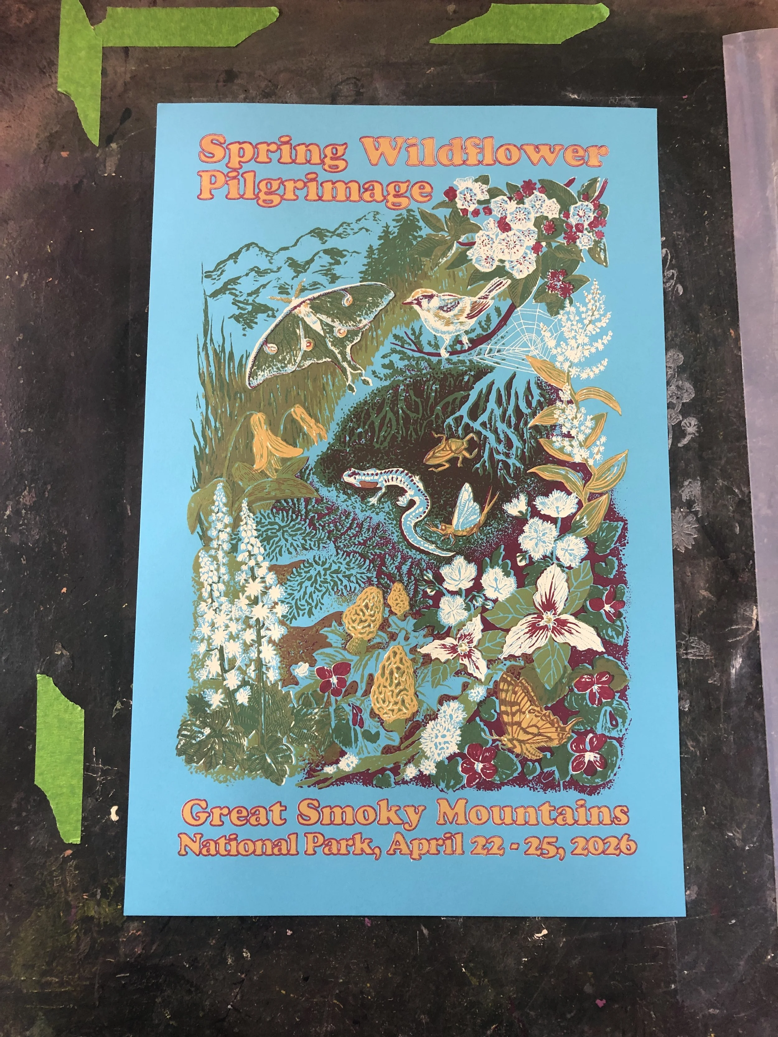 spring wildflower pilgrimage poster print.JPG
