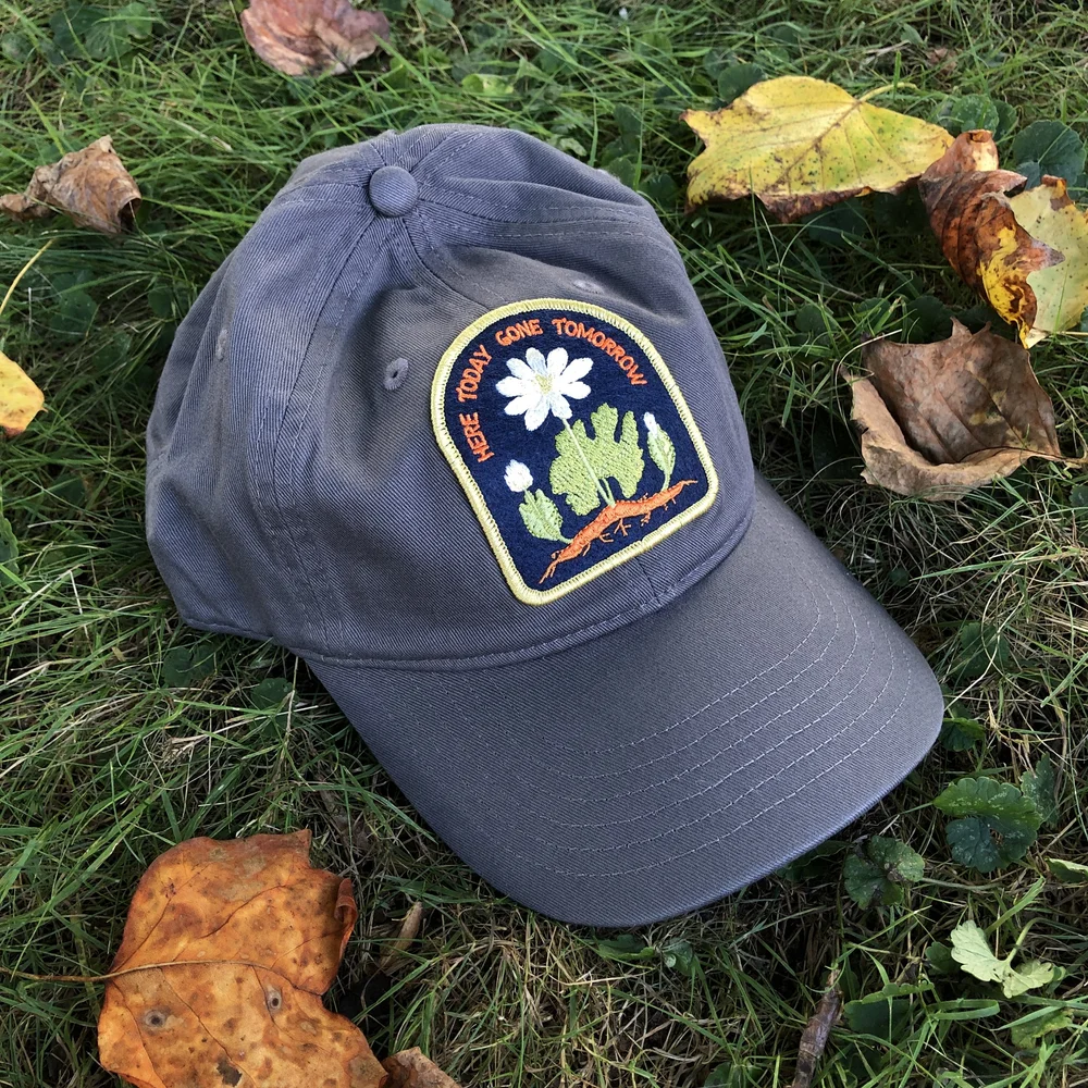 Bloodroot Organic Cotton Native Plant Patch Hat  SOLSTICE HANDMADE