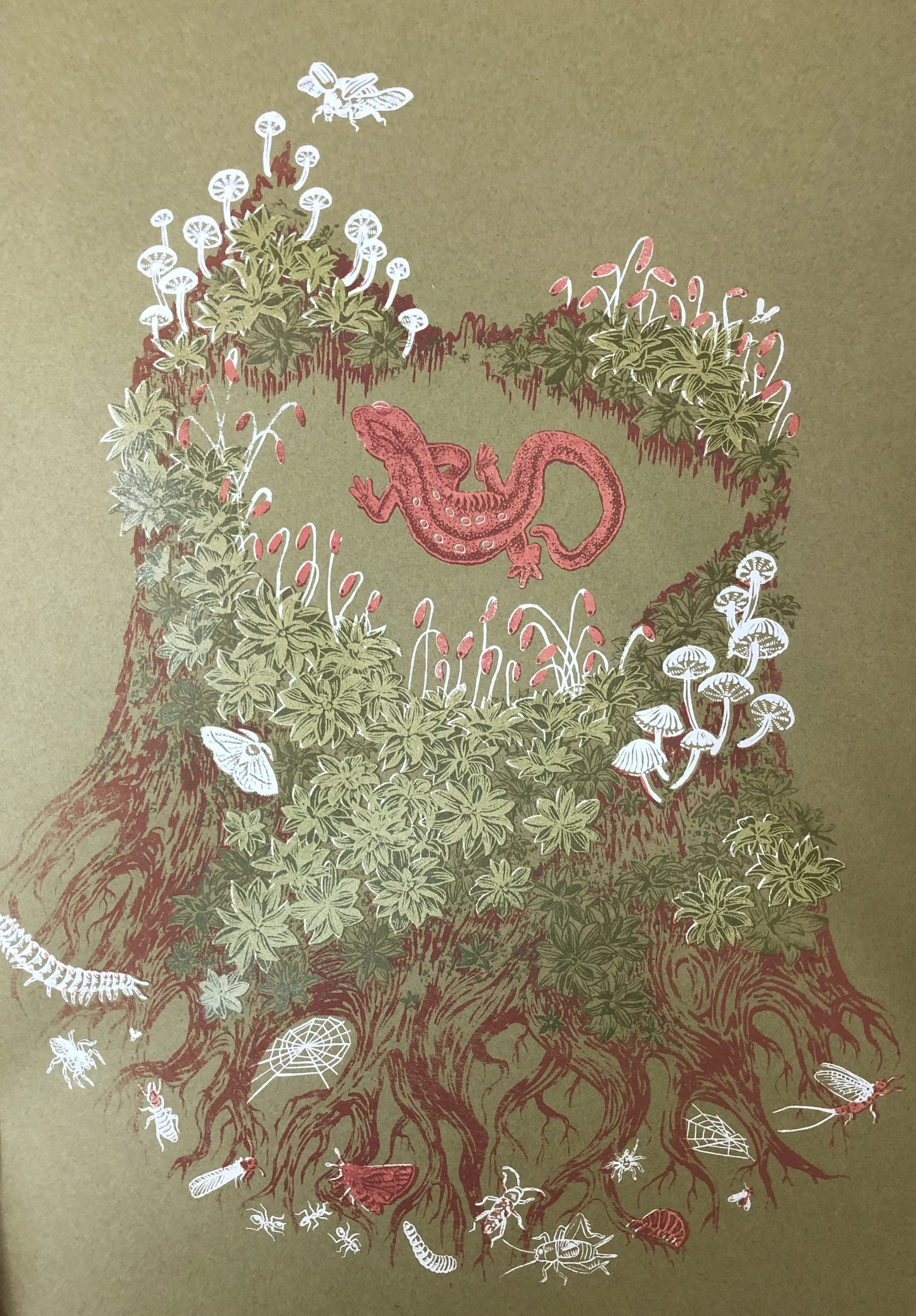 IMG_4923 2.jpg (Copy)