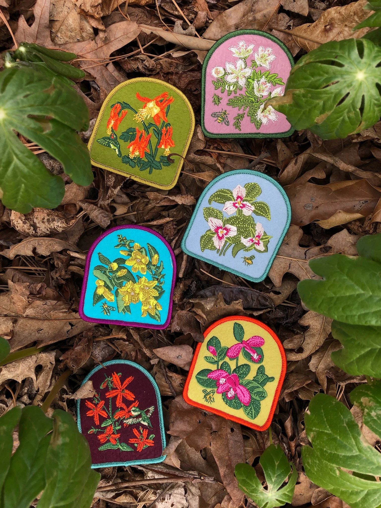 FullSizeRender 28.jpg (Copy) (Copy)