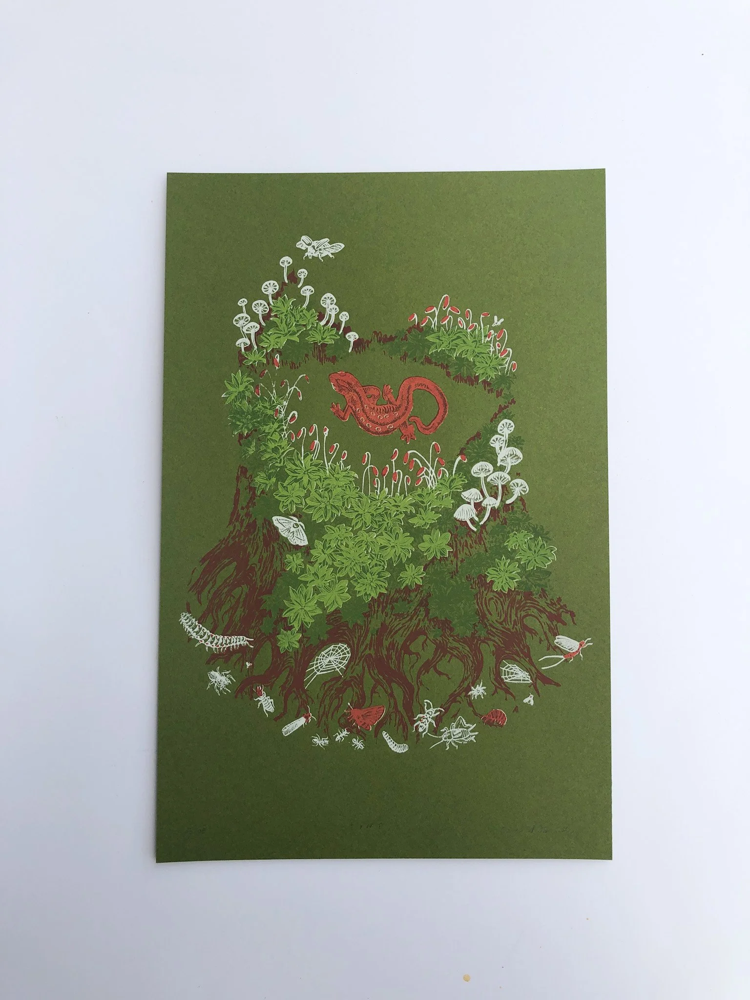 stump print.JPG
