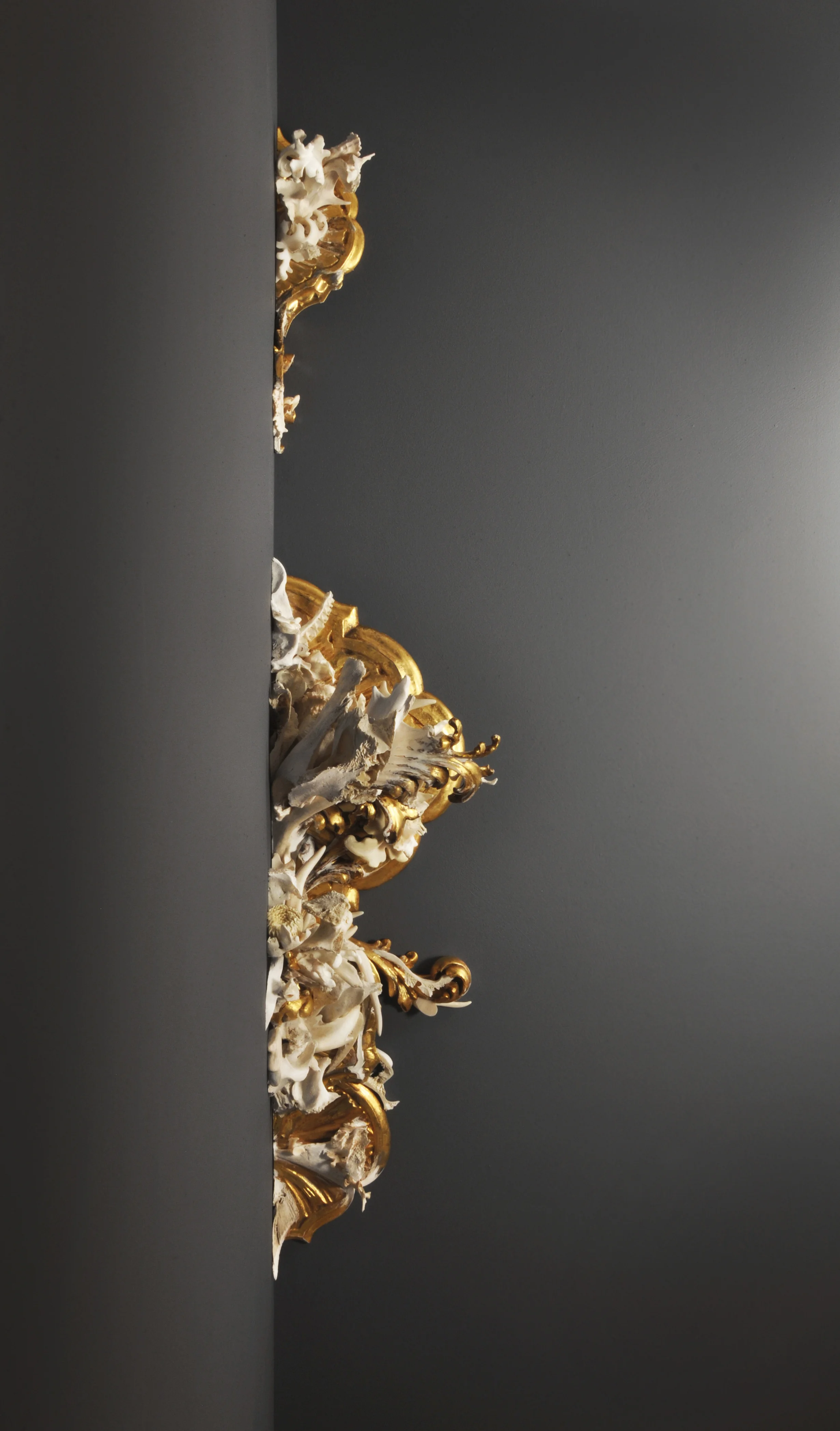 Effloresce, 2013