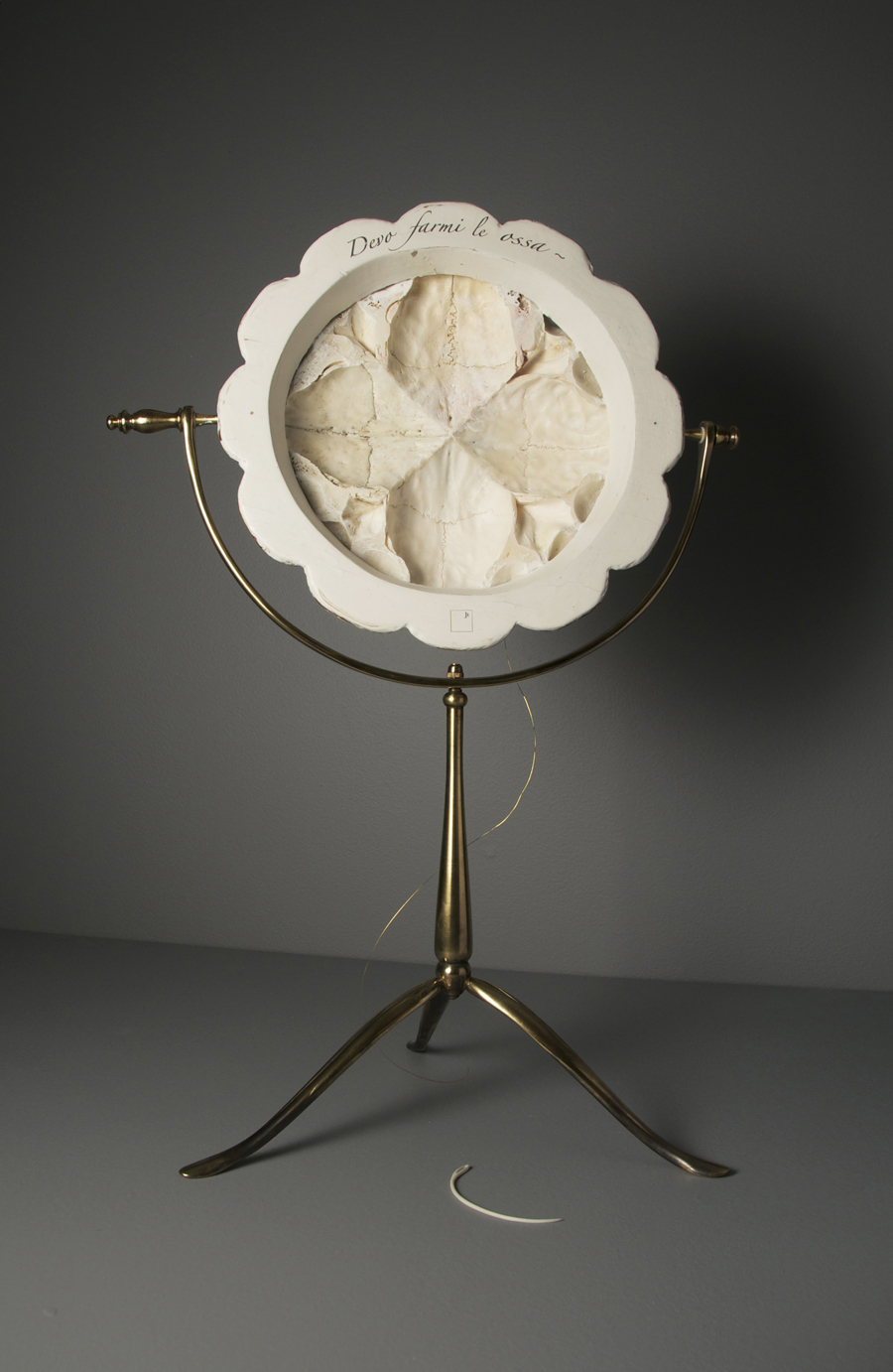 Suture, 2014 - Back