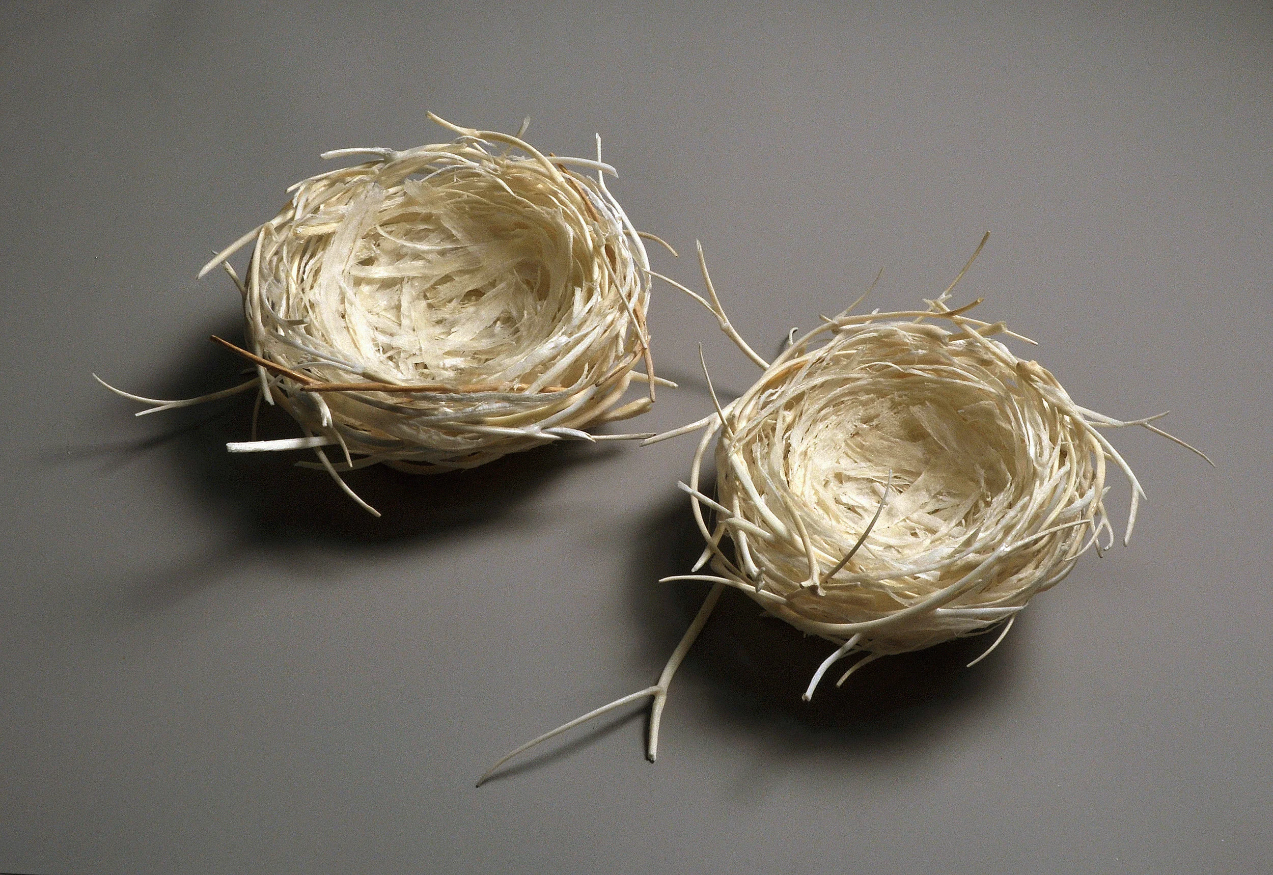 Nests
