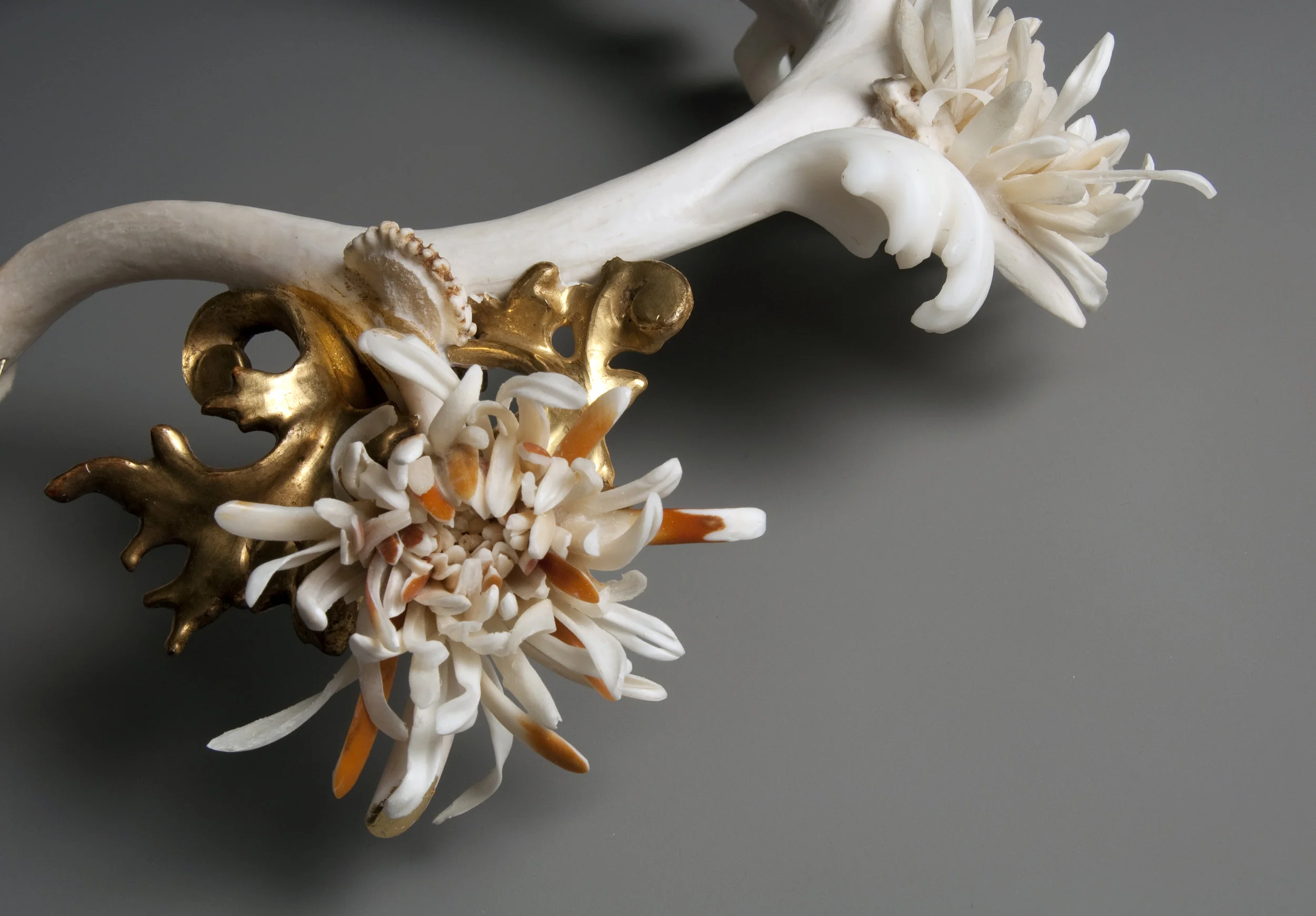 Marion’s Morifolium - Left Shoulder Detail