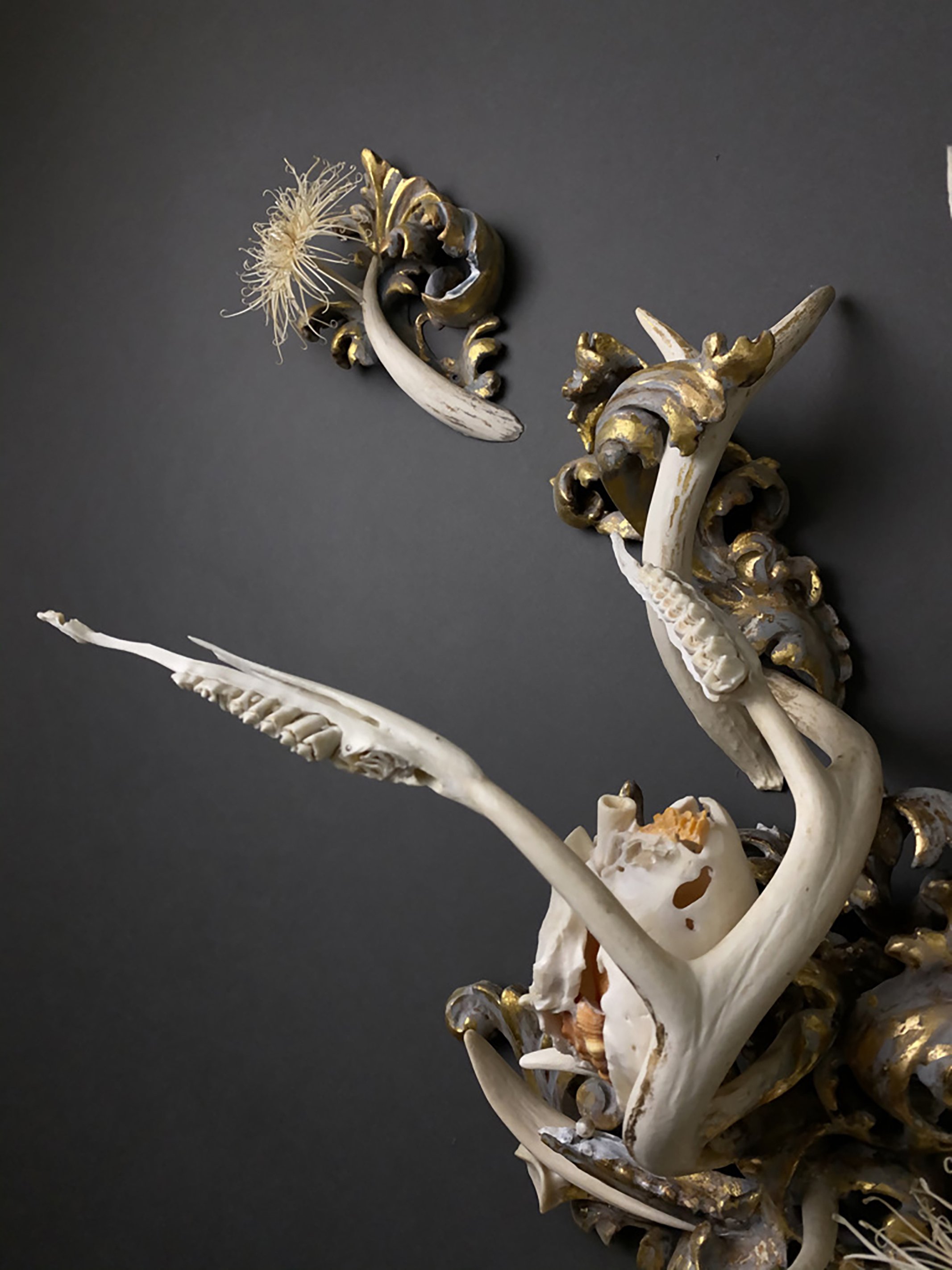 Vanitas - Detail