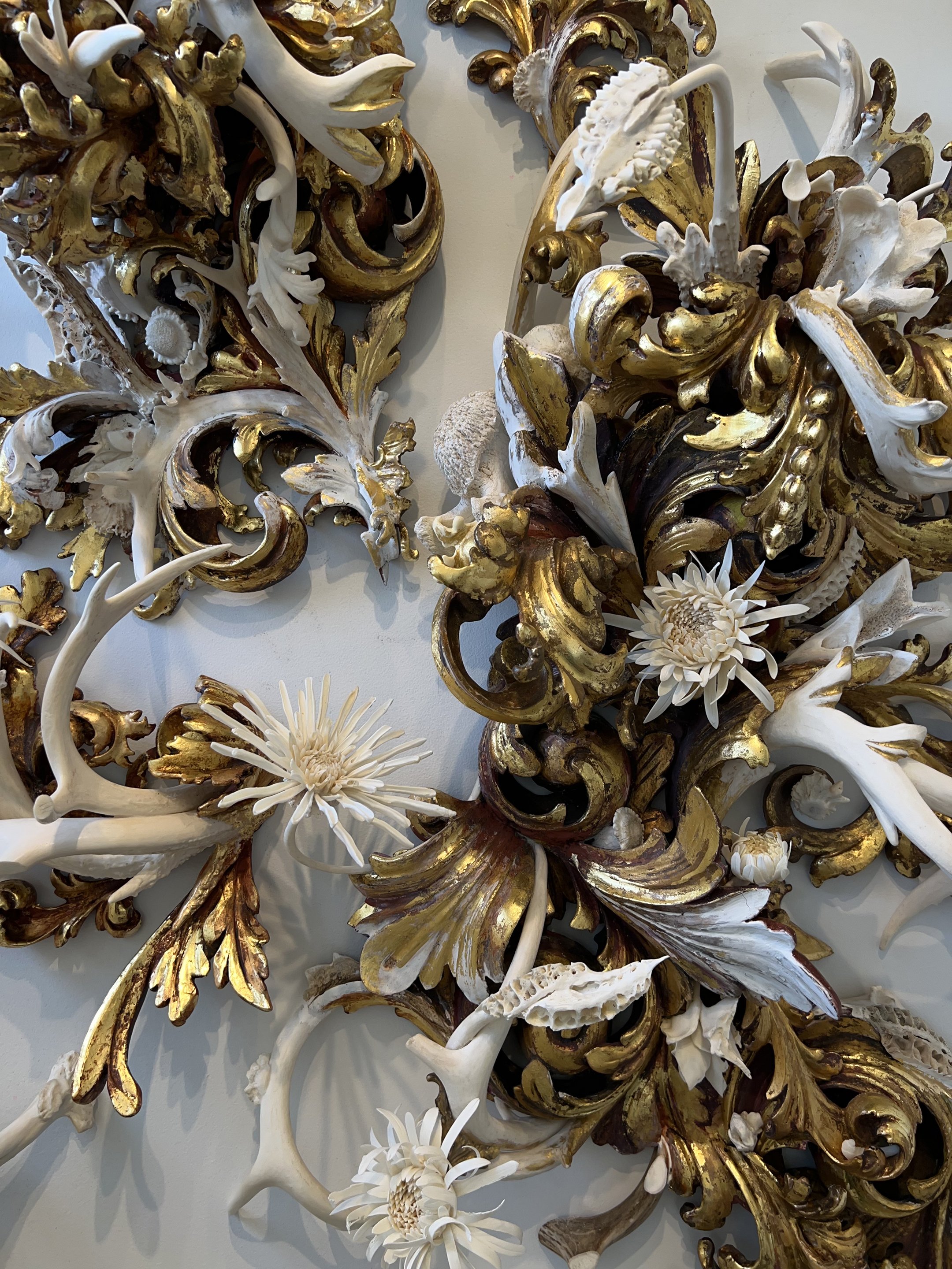 Heterosis - Detail