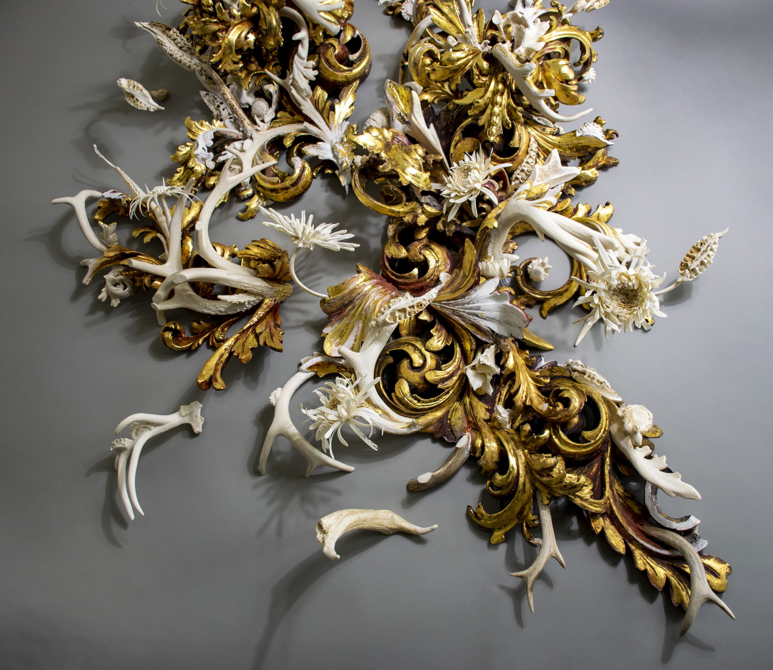 Heterosis - Detail