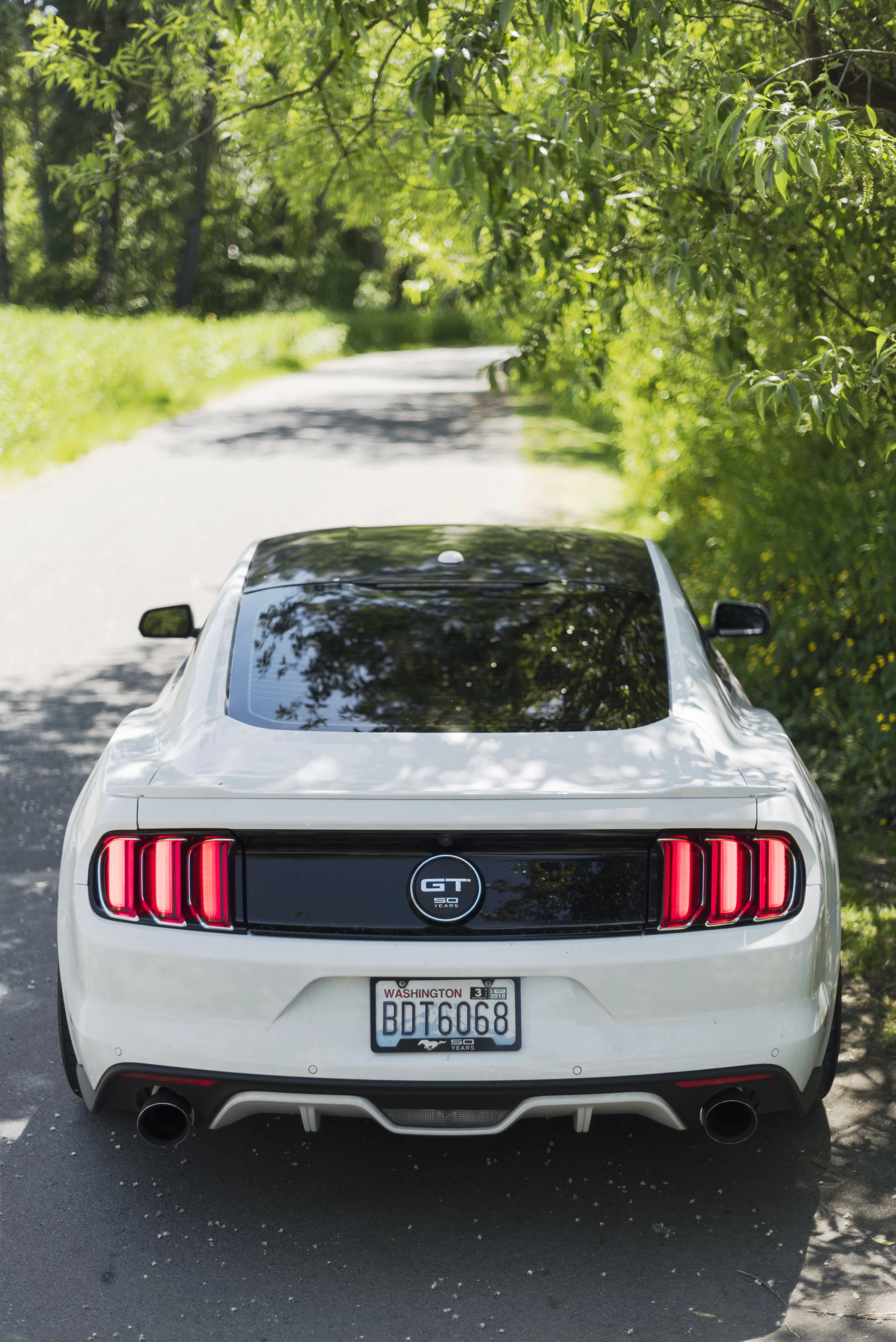 rear 50mm test omg.jpg