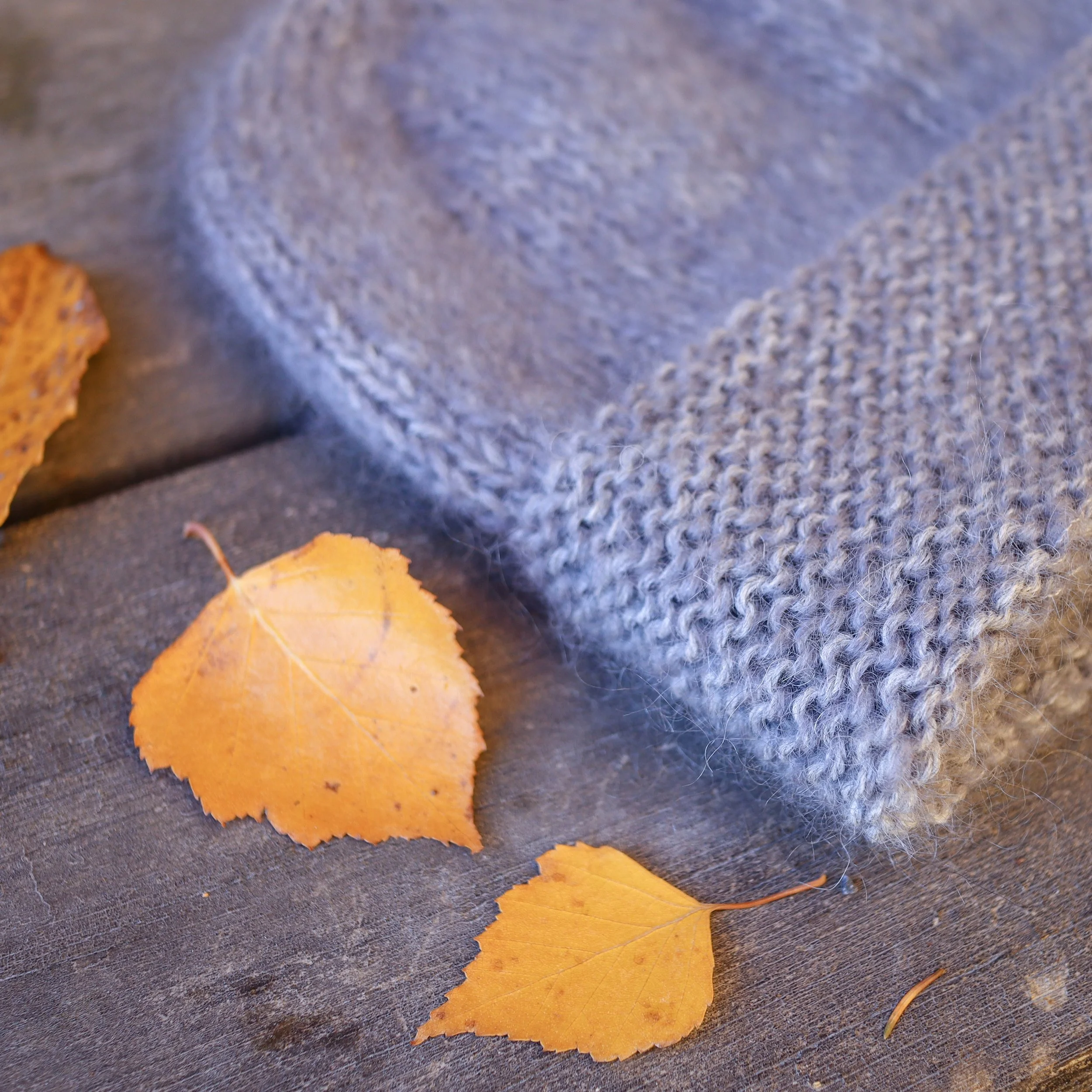 10744244784_IMG_2601 3.JPG