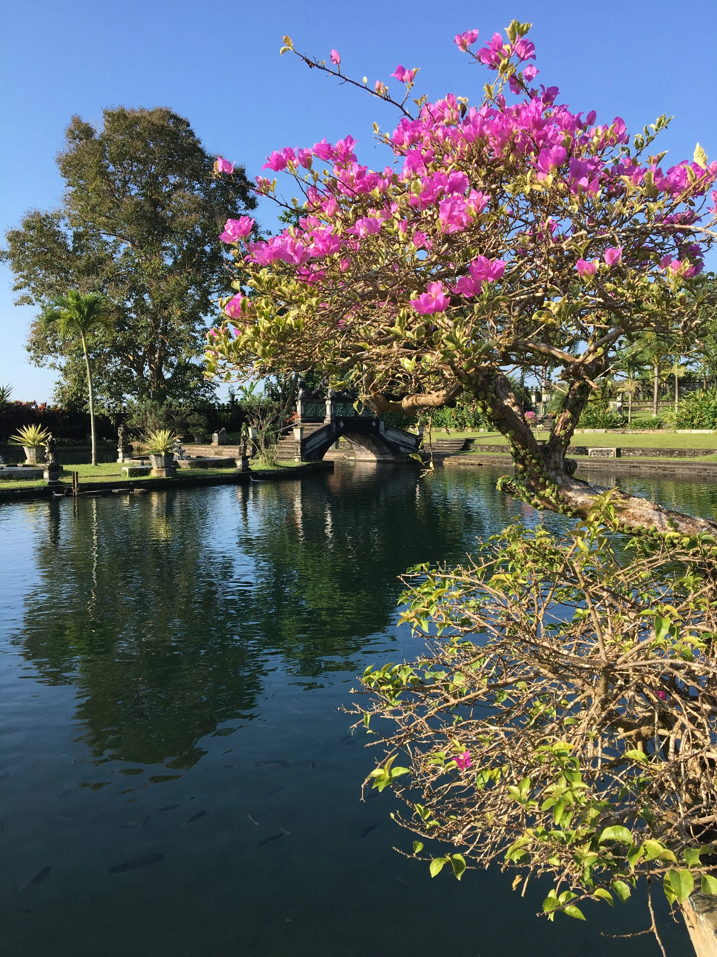 Tirta Gangga Water Palaces, Bali, Indonesia