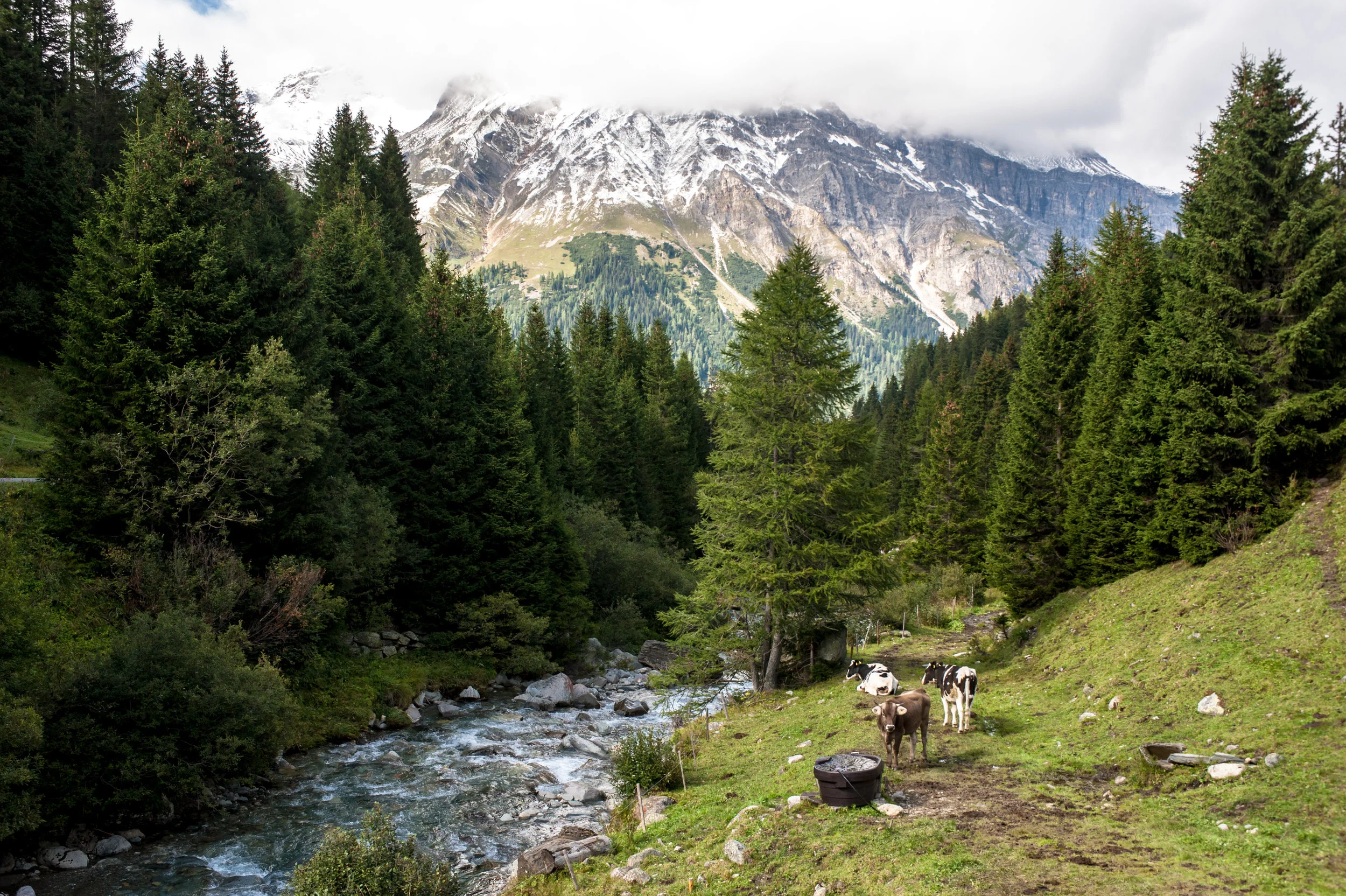 alps-14.jpg
