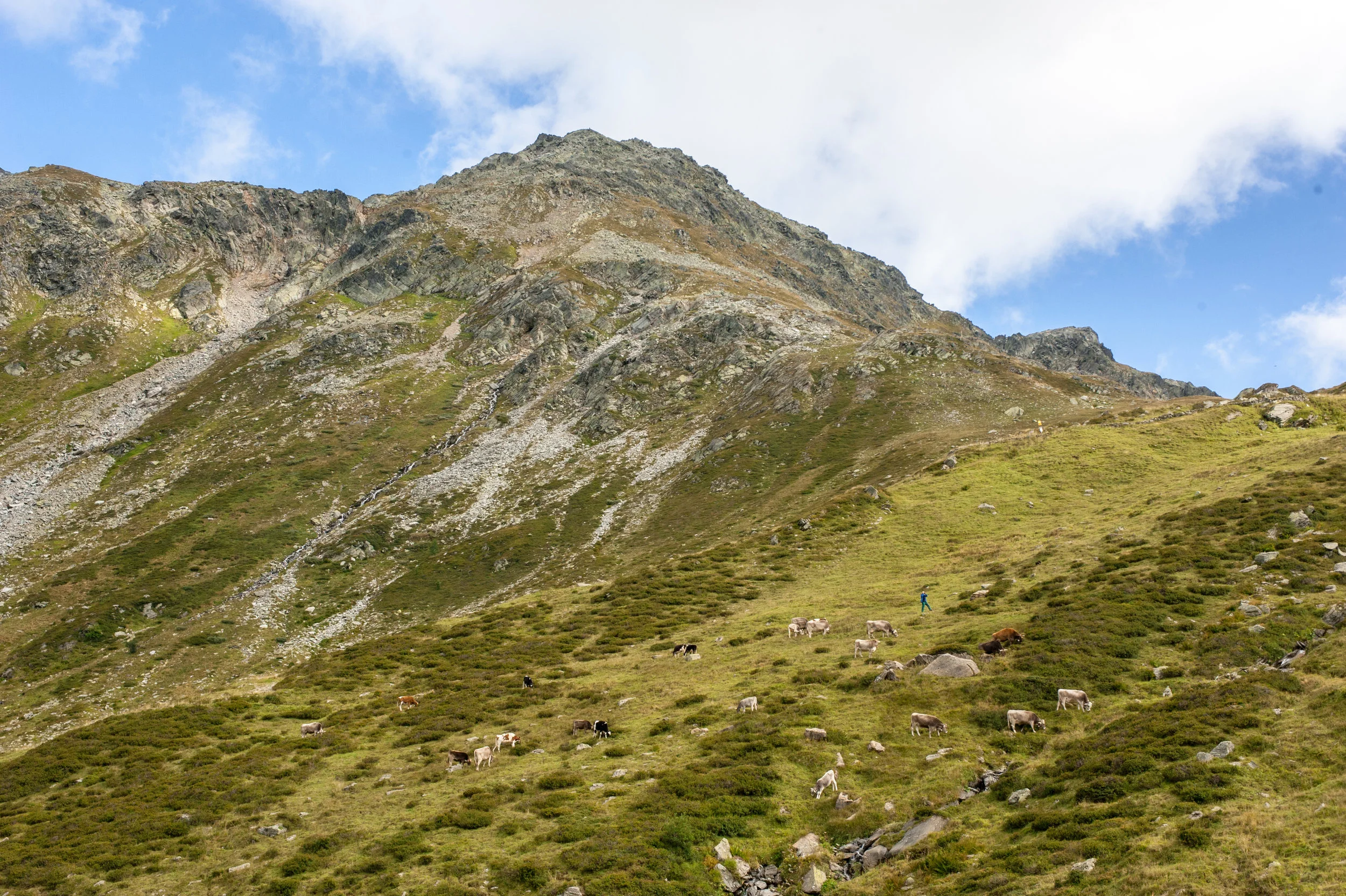 alps-20.jpg