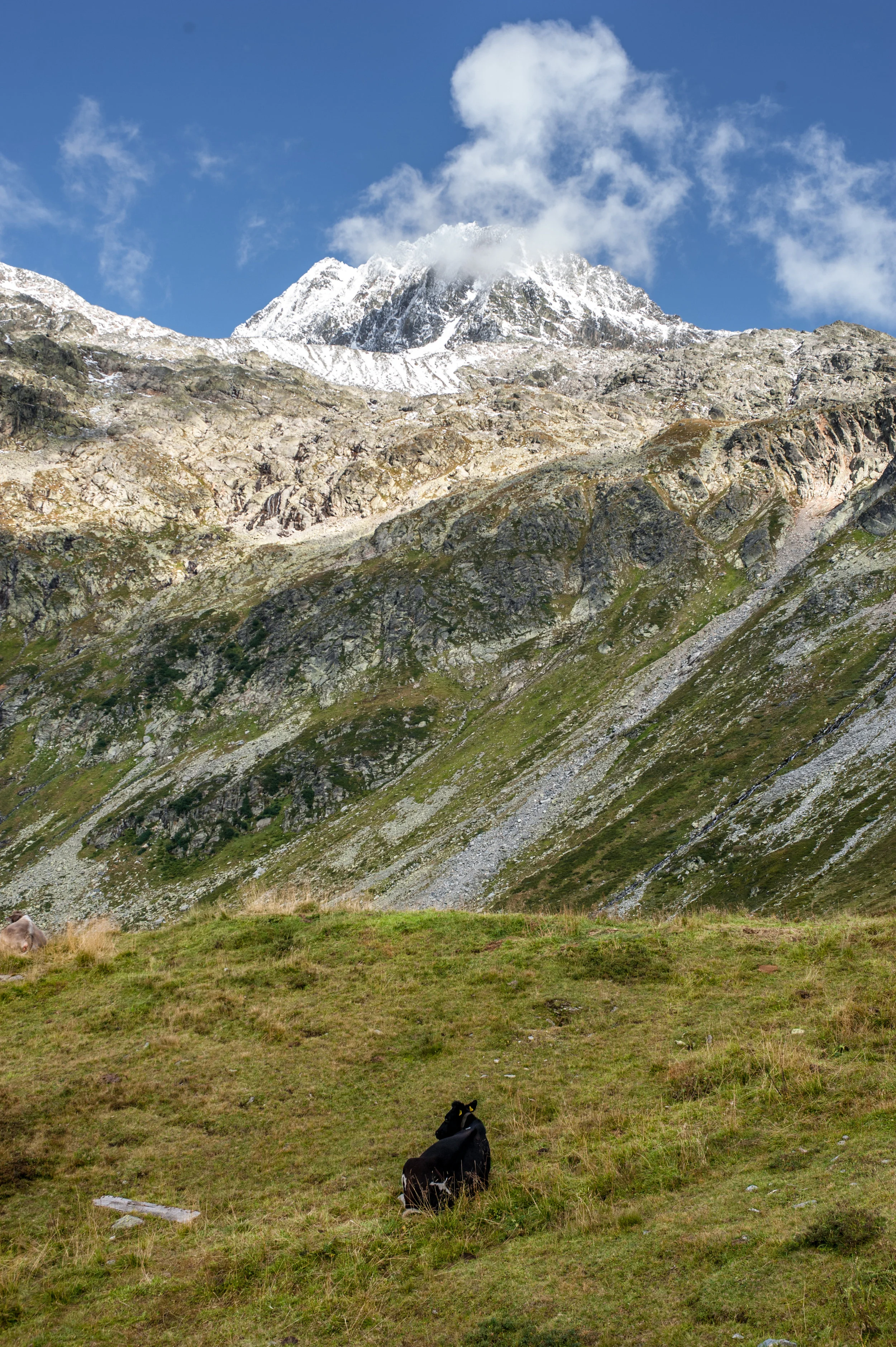 alps-32.jpg