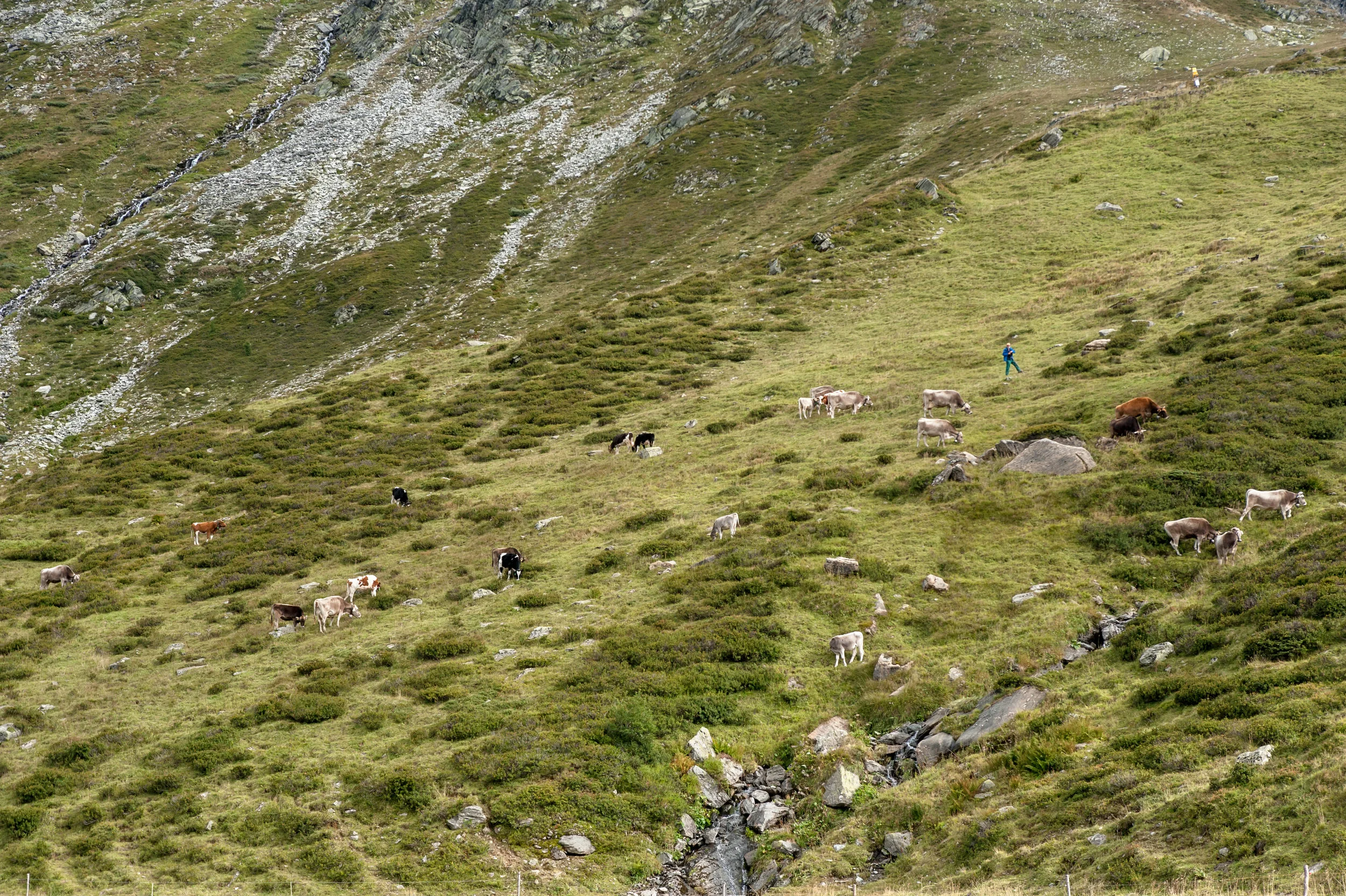 alps-36.jpg