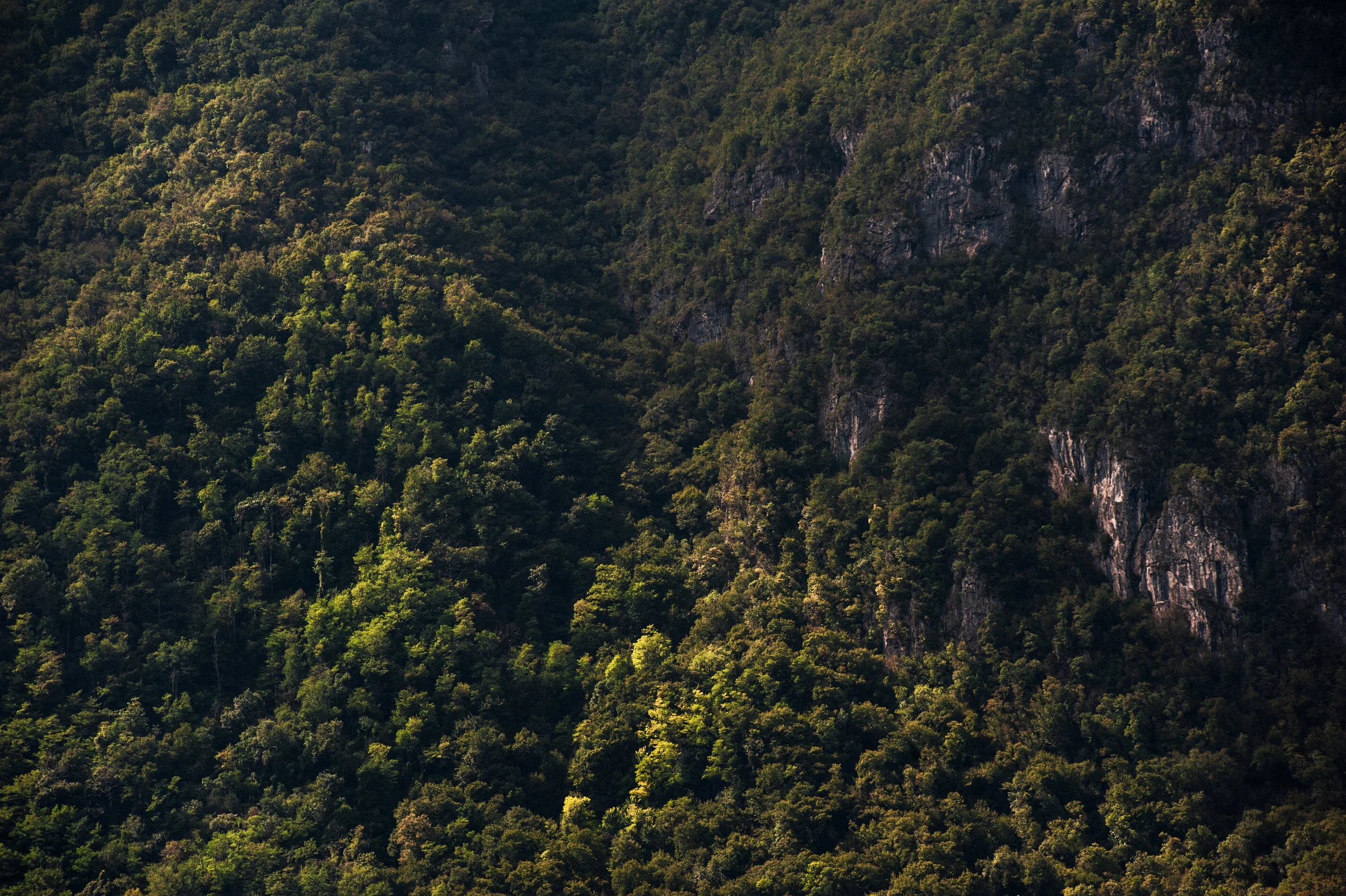 alps_swiss_italy-12.jpg