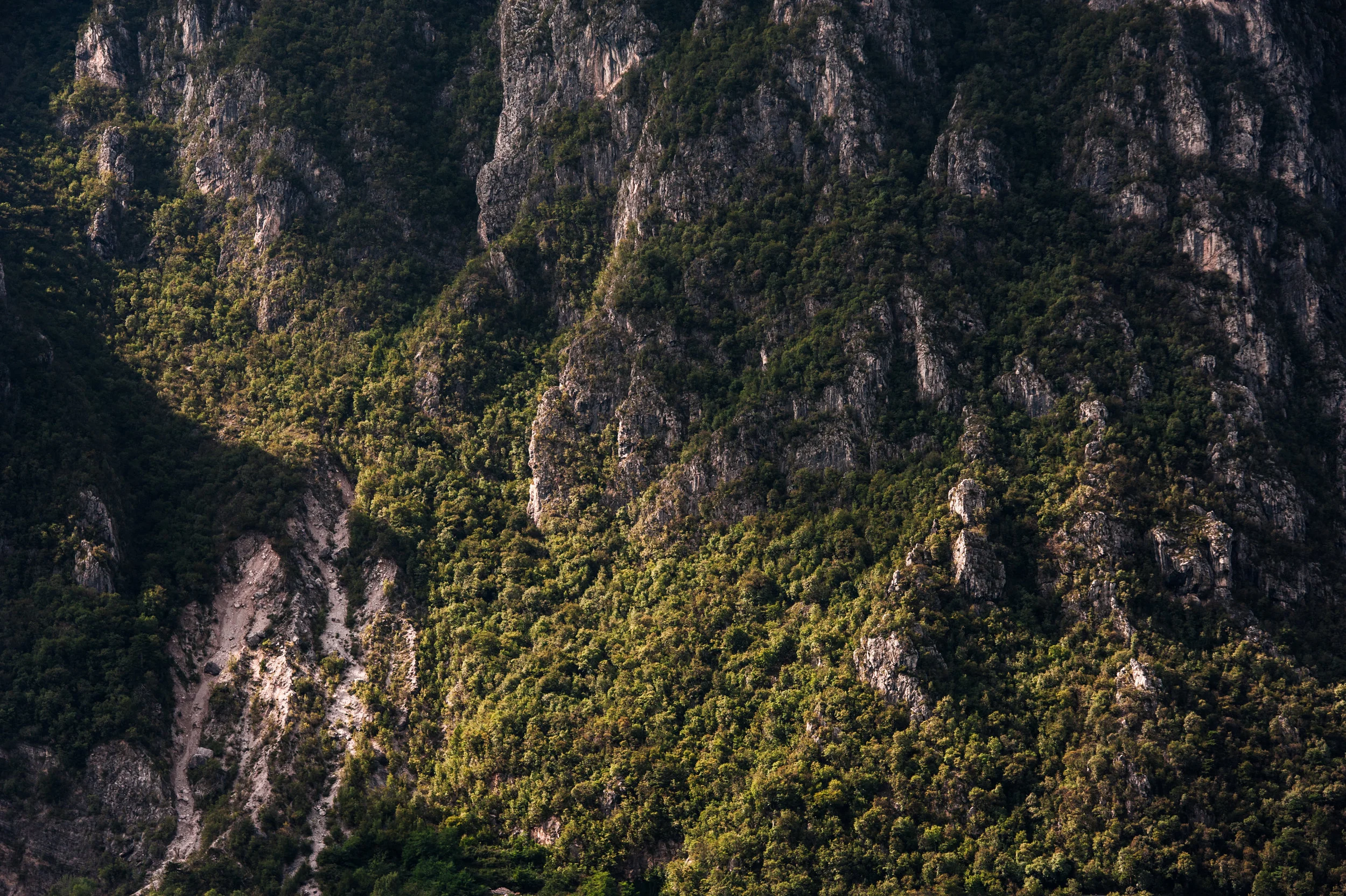 alps_swiss_italy-17.jpg