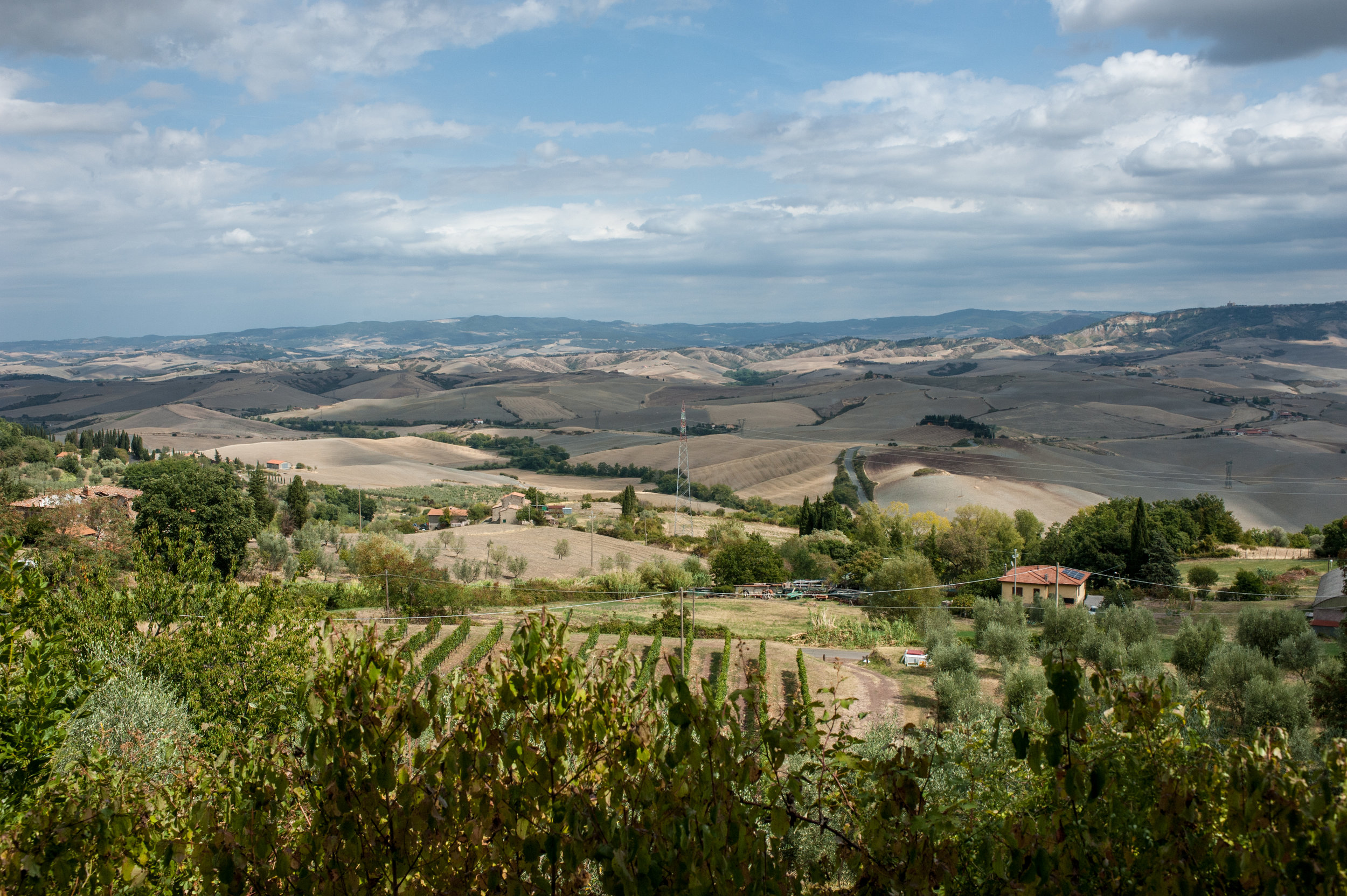 toscana_landscape-6.jpg