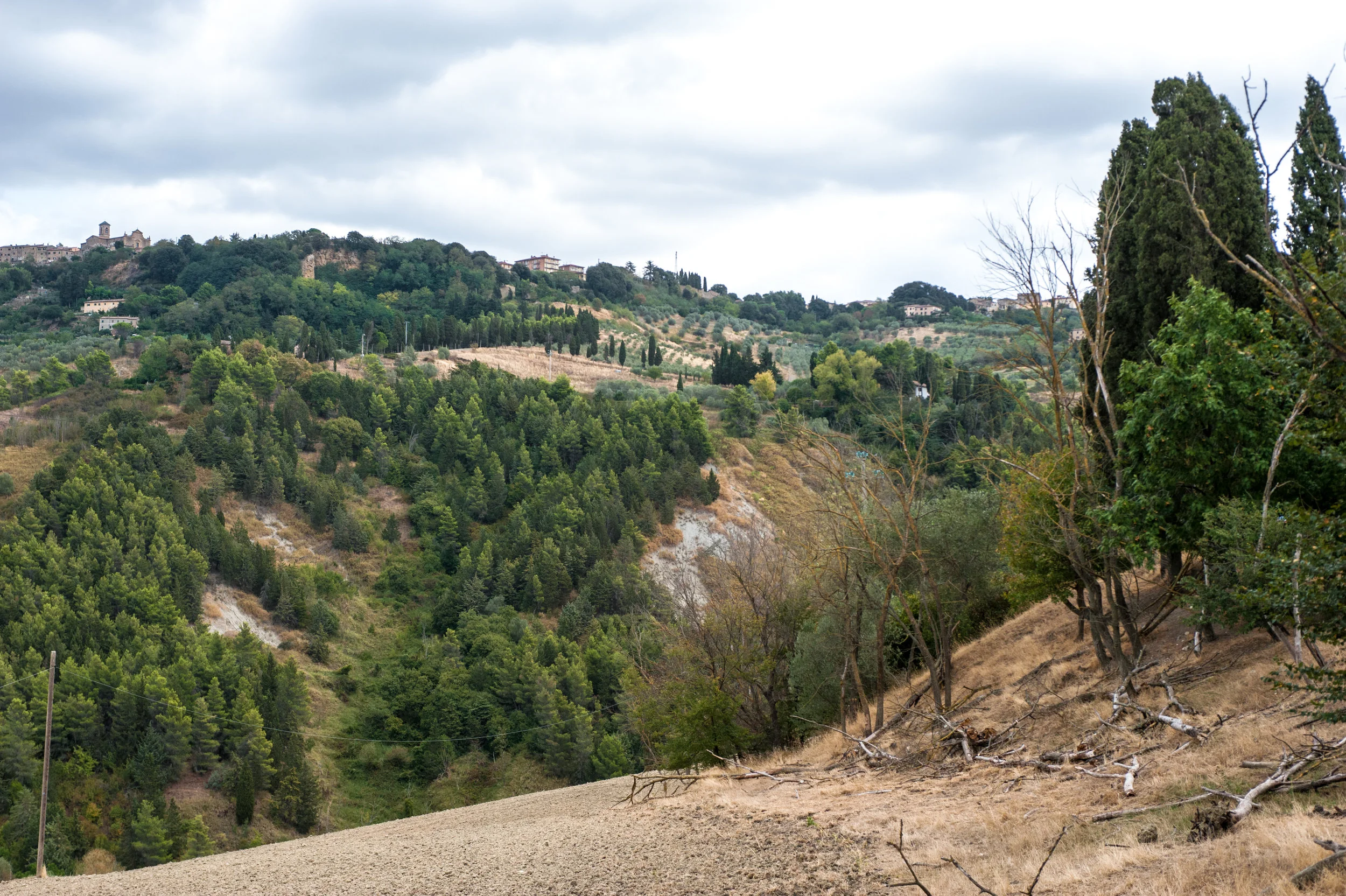toscana_landscape-12.jpg