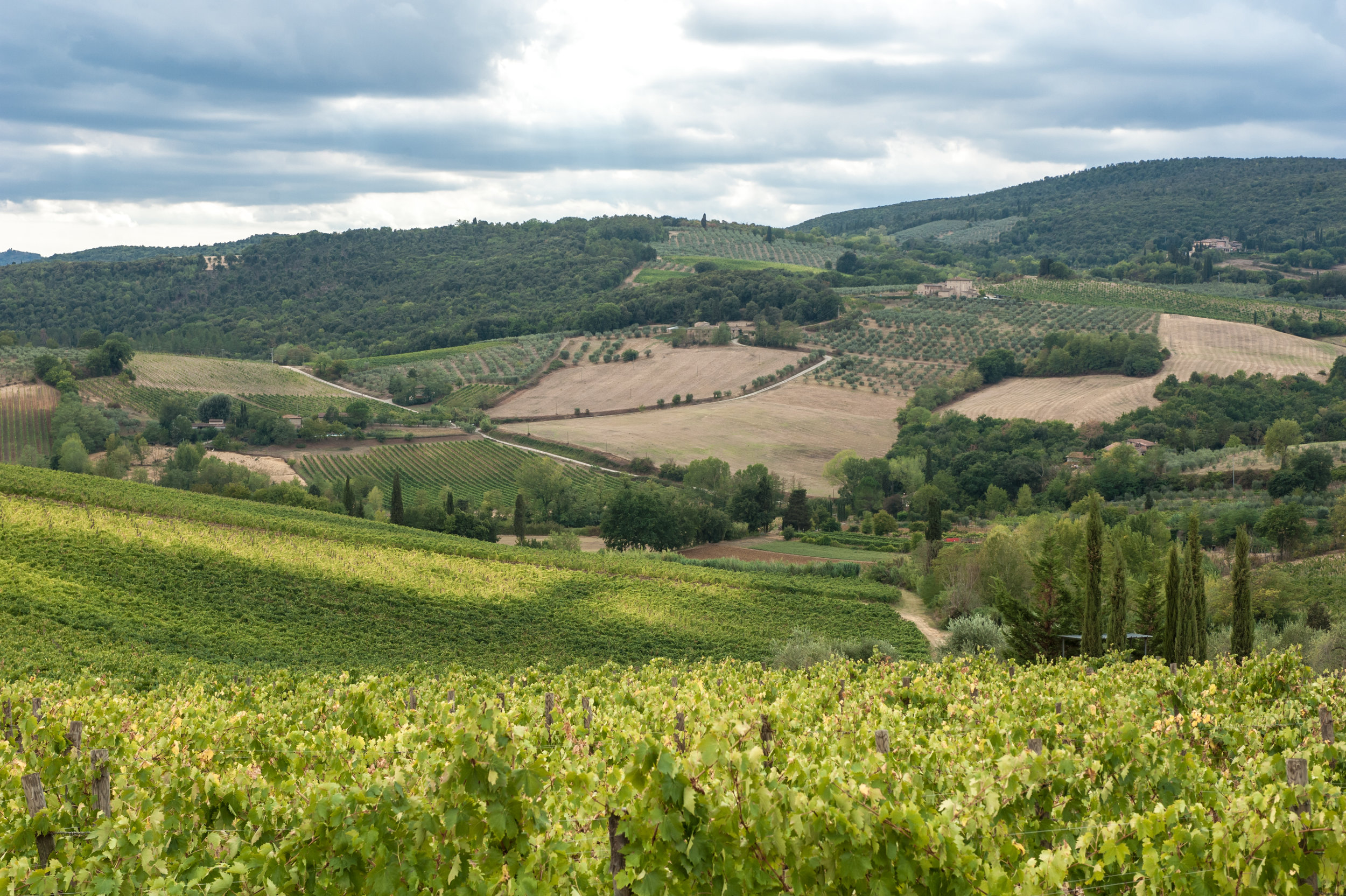 toscana_landscape-23.jpg