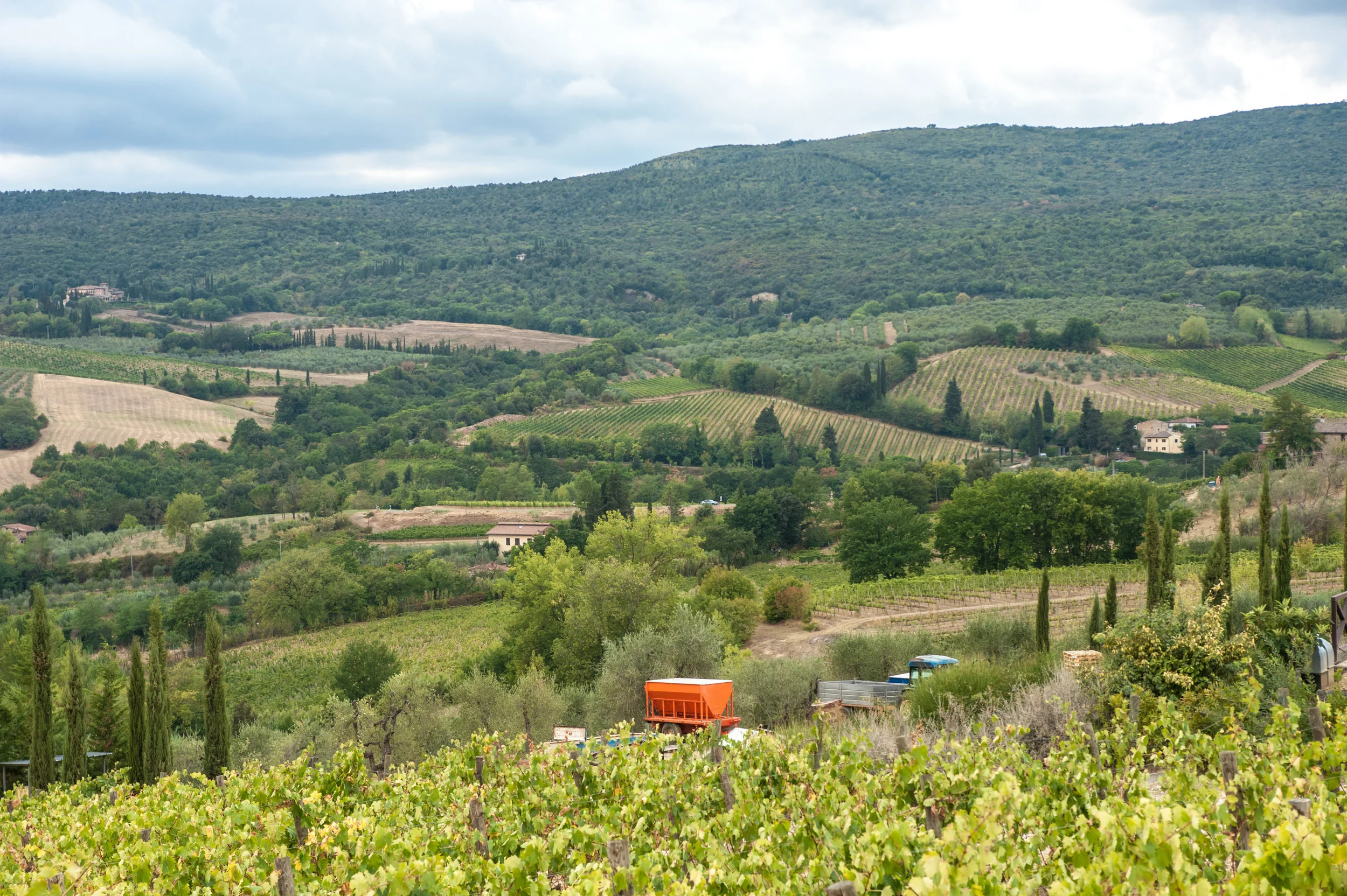 toscana_landscape-24.jpg