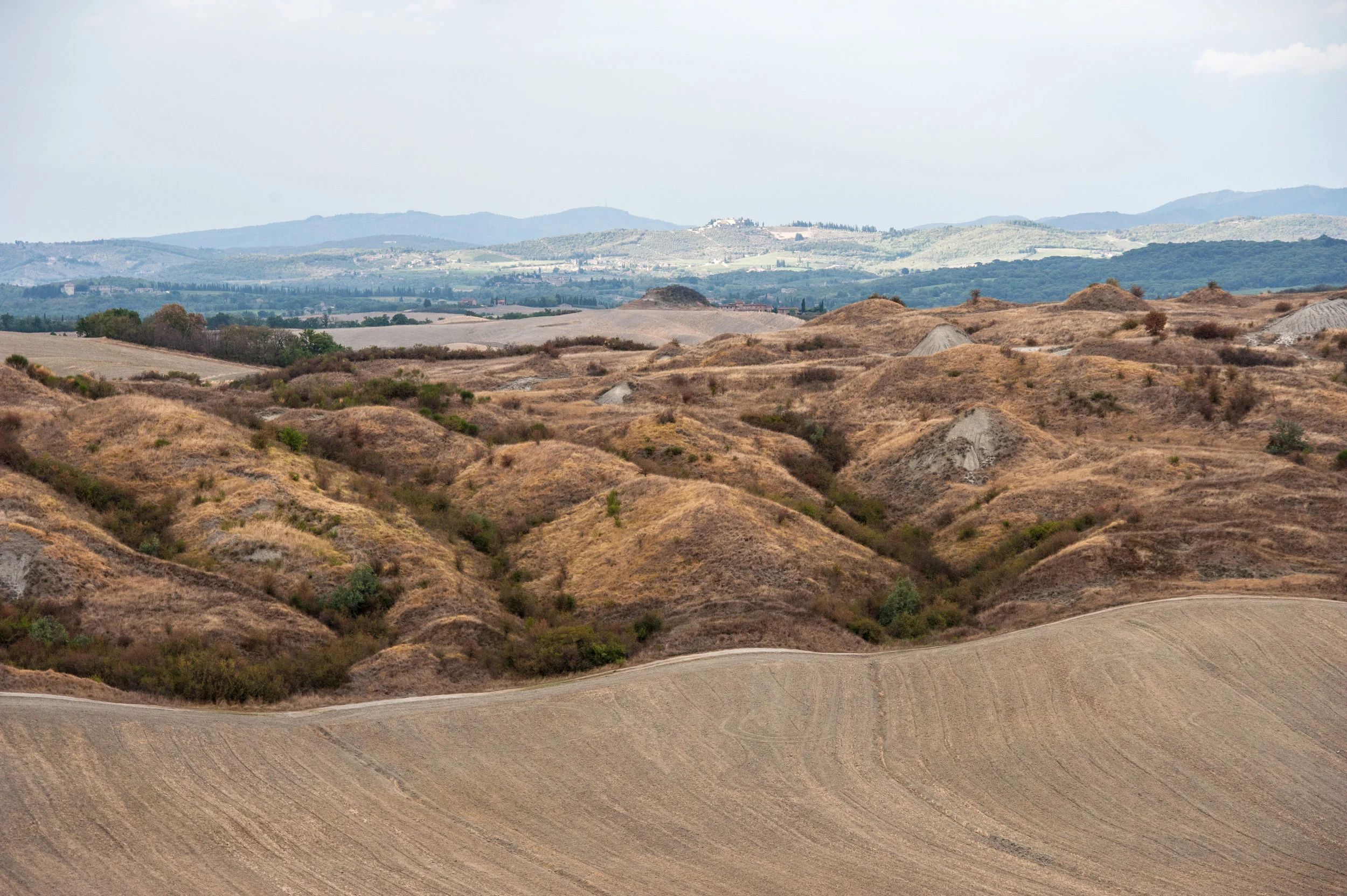 toscana_landscape-31.jpg