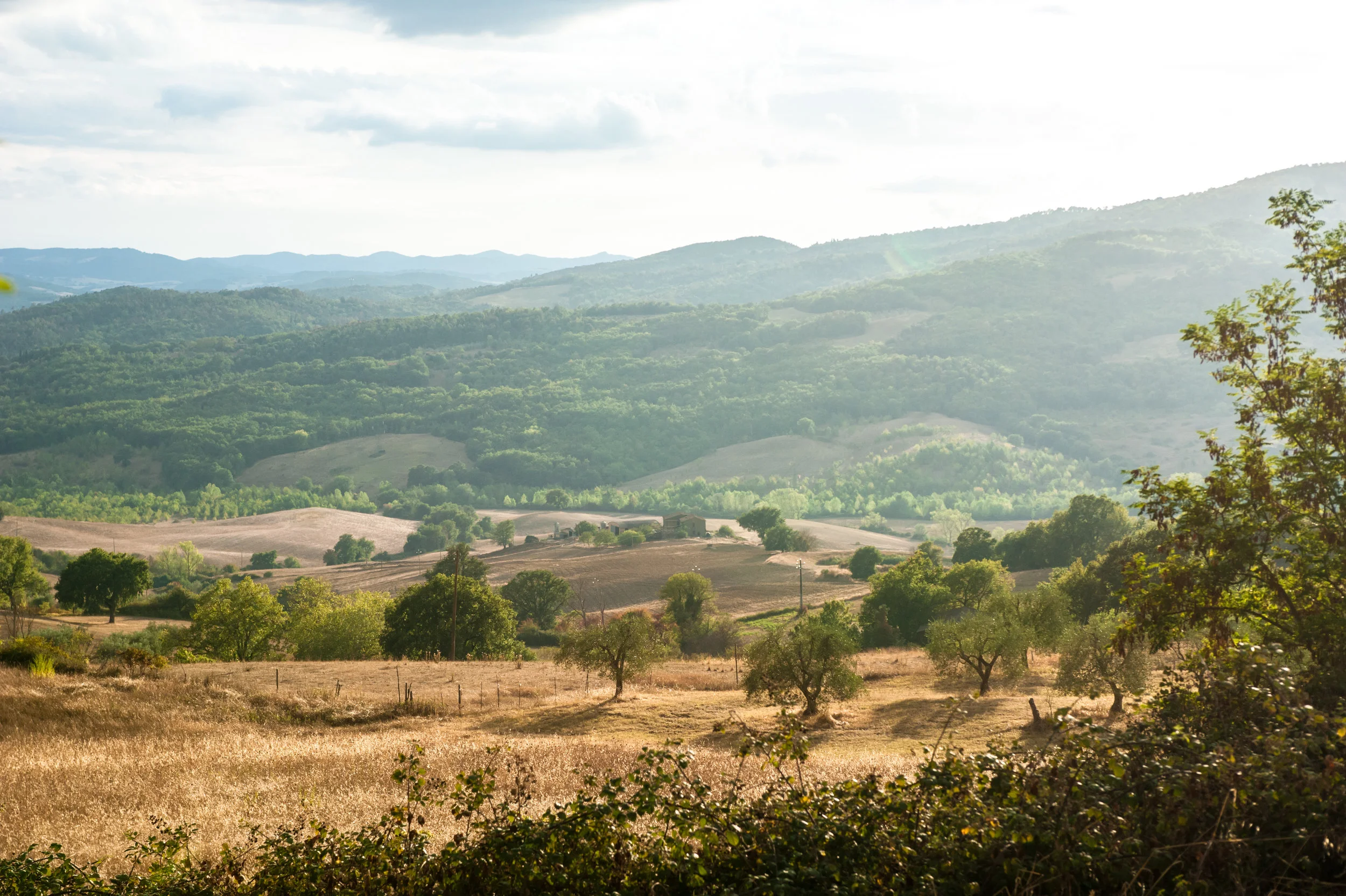 toscana_landscape-35.jpg