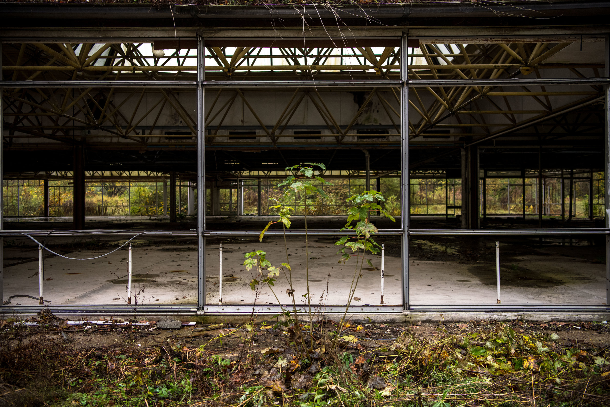 spreepark-17-2.jpg