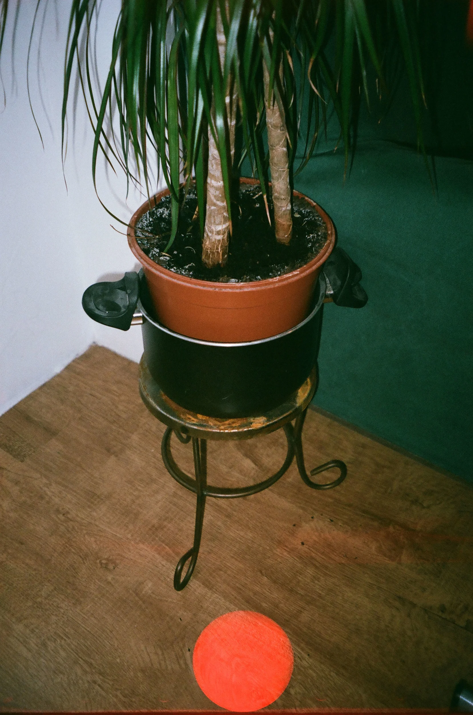 analogue-33.jpg