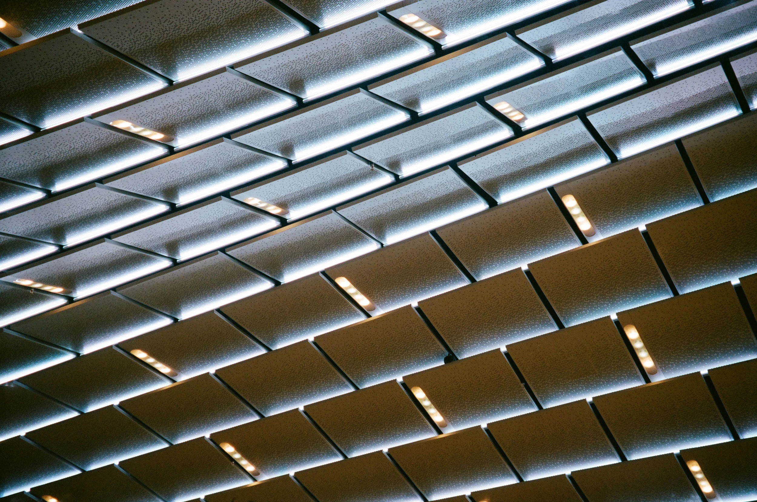 analog-153.jpg