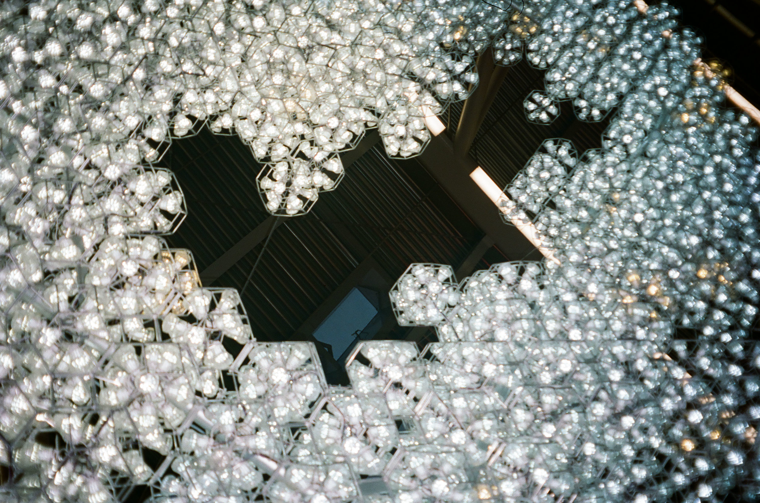 analog-144.jpg